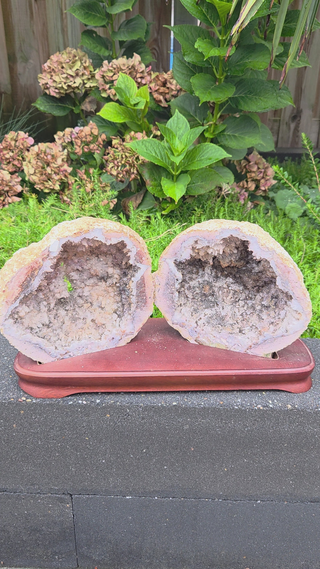 Zeldzame roze amethist (chalcedoon) geode