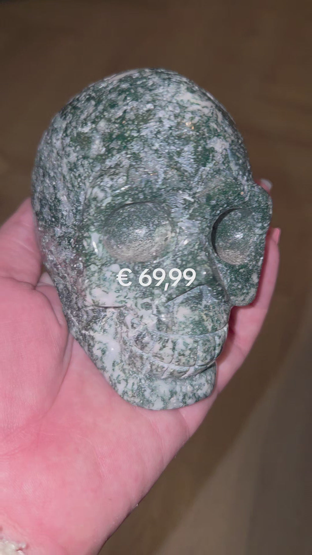 Mosagaat skull