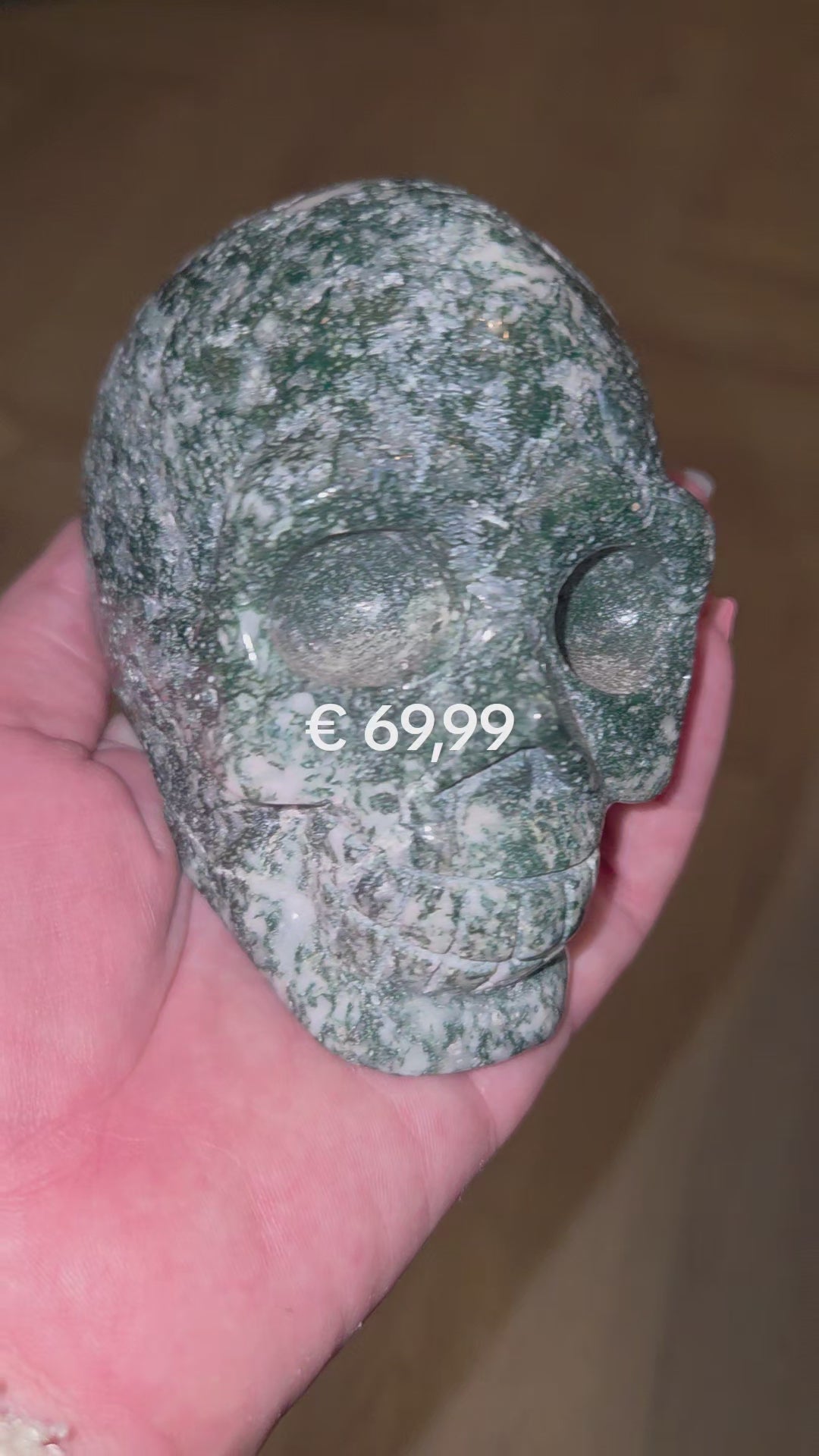 Mosagaat skull