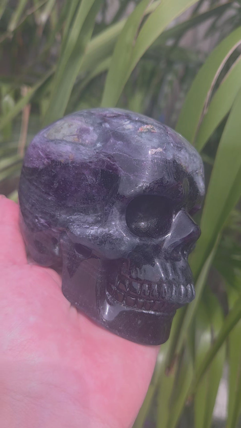 A+ kwaliteit fluoriet skull