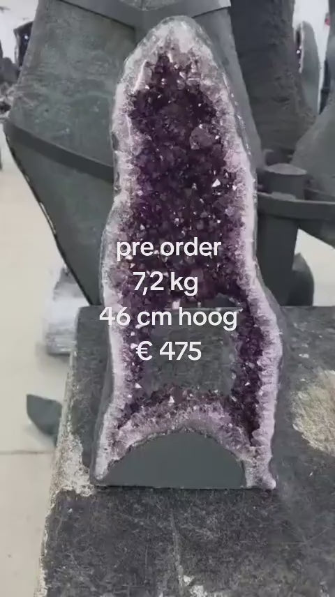 Pre order portaal