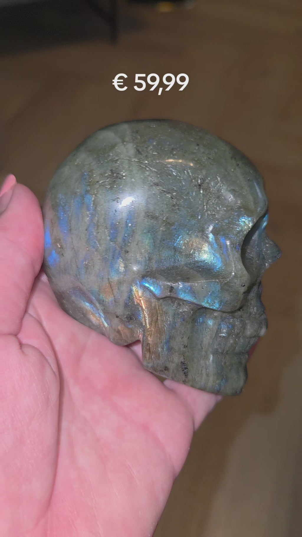 Labradoriet skull
