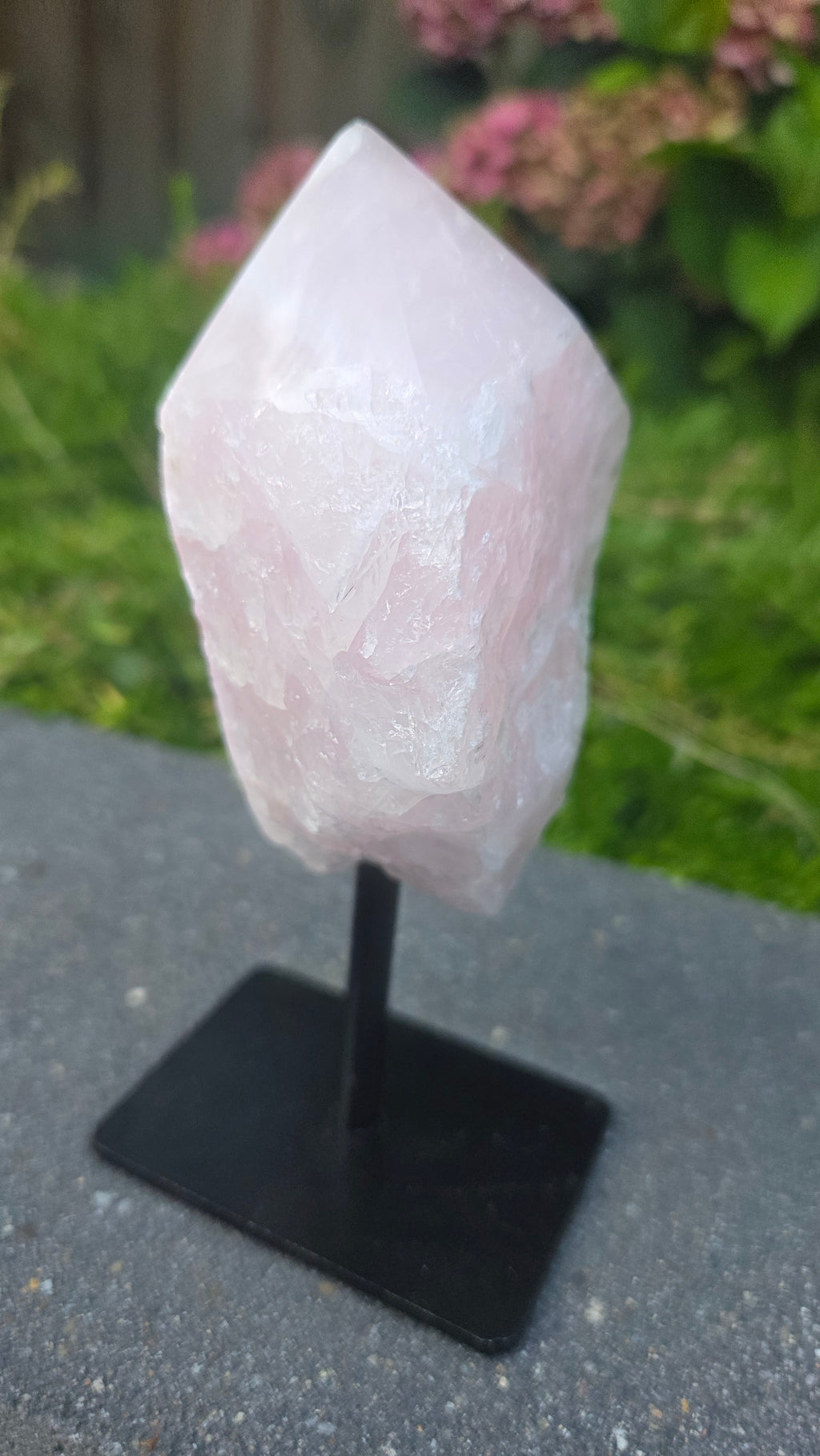 Rozenkwarts op standaard