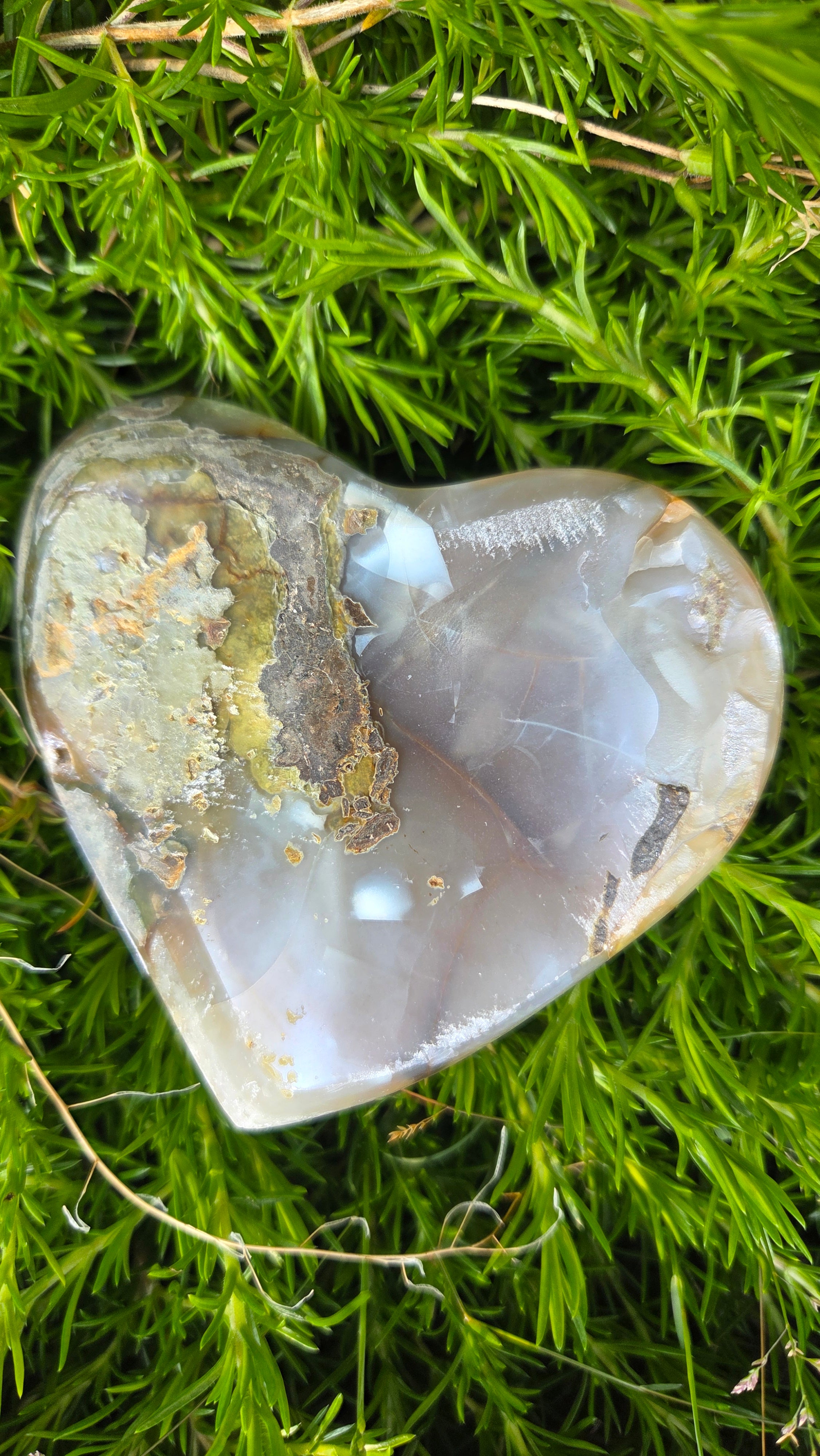 Angel aura hart