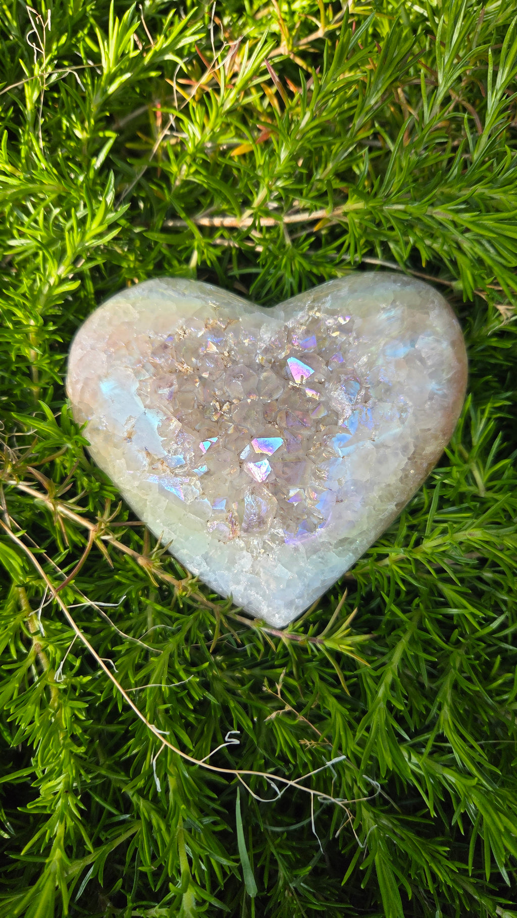Angel aura hart
