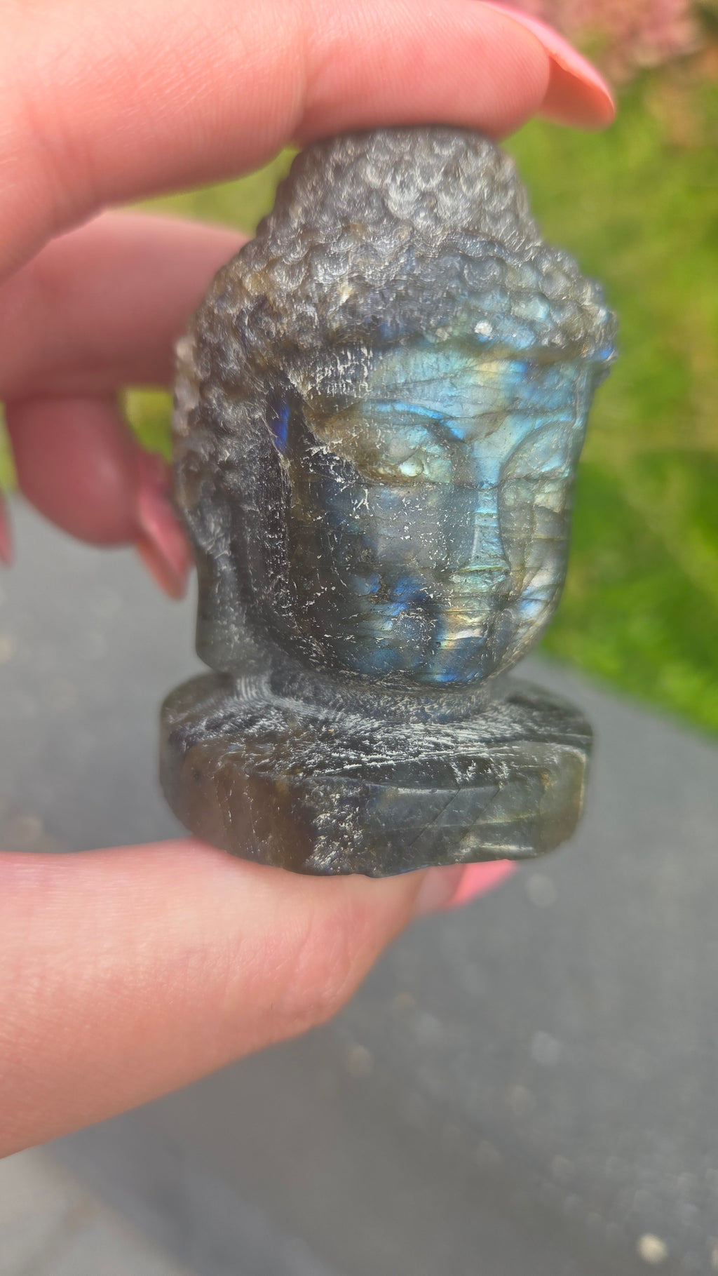 Labradoriet buddha
