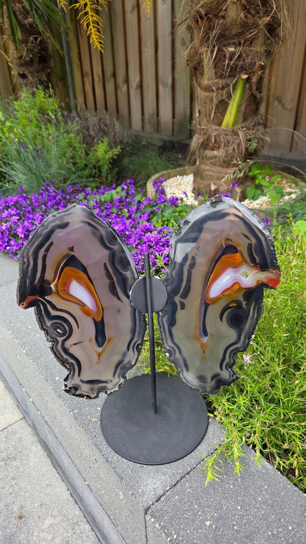 Speciale agaat vlinder XL
