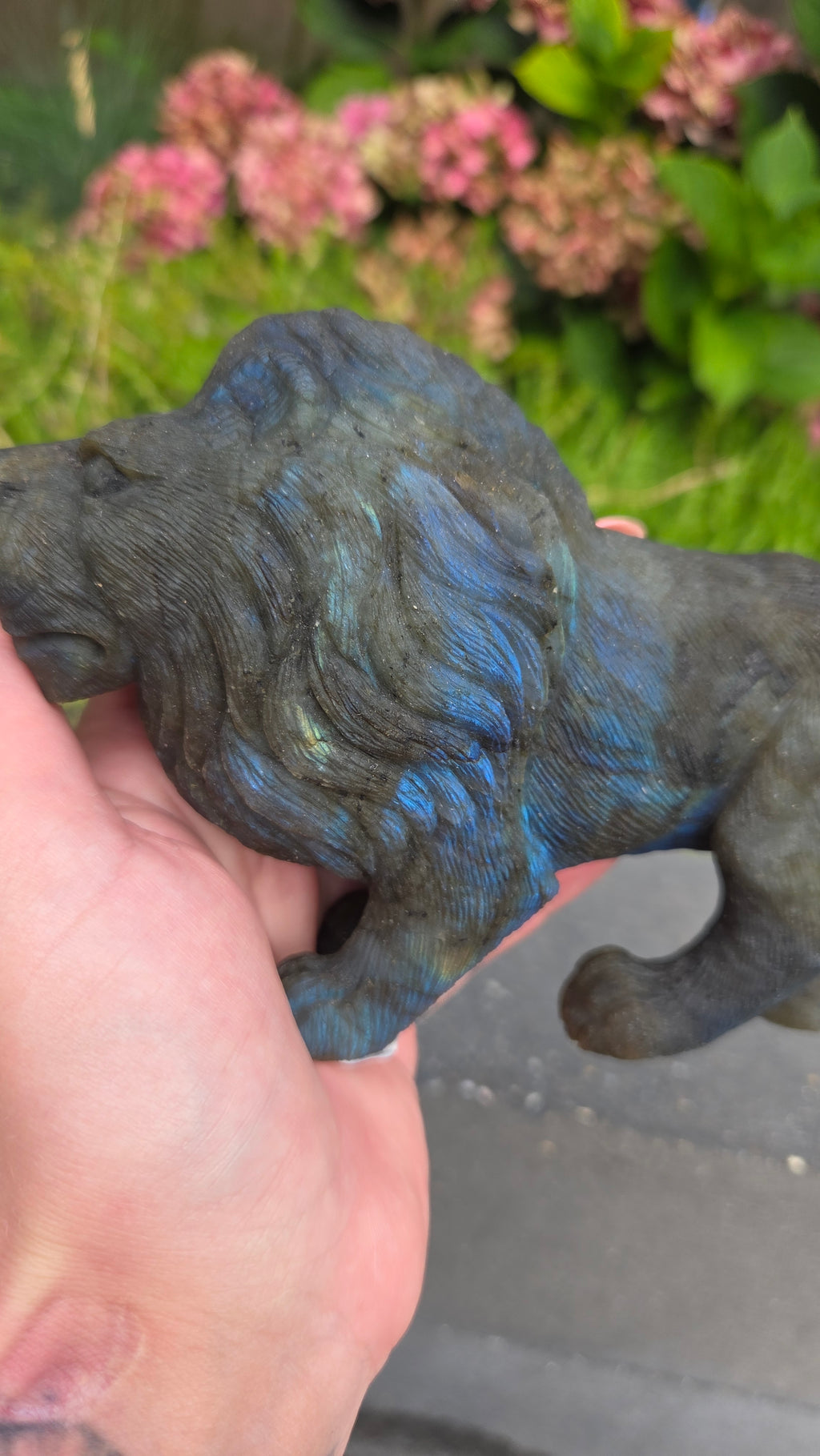 Zeldzame labradoriet carving leeuw