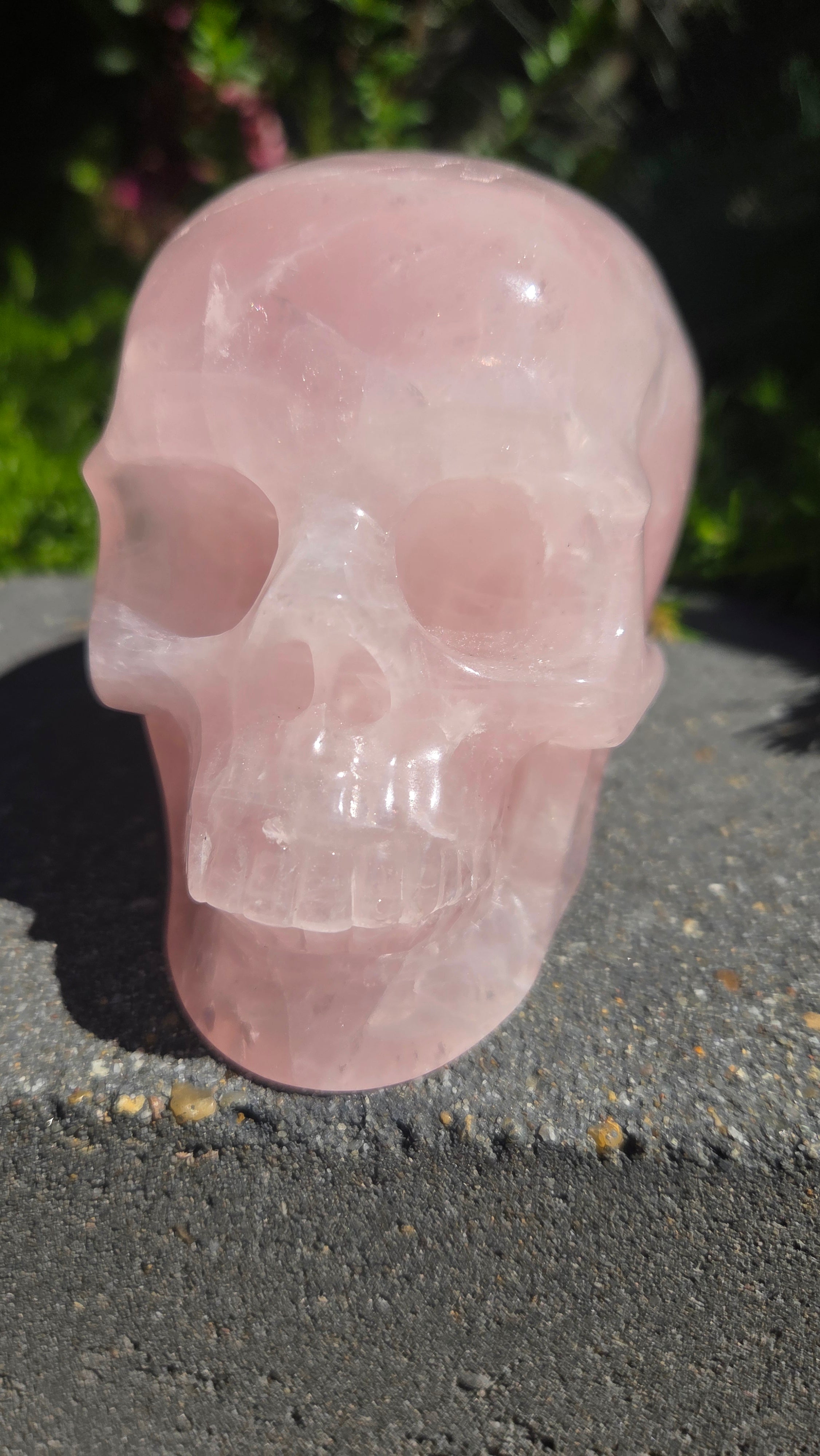 A+ kwaliteit rozenkwarts skull