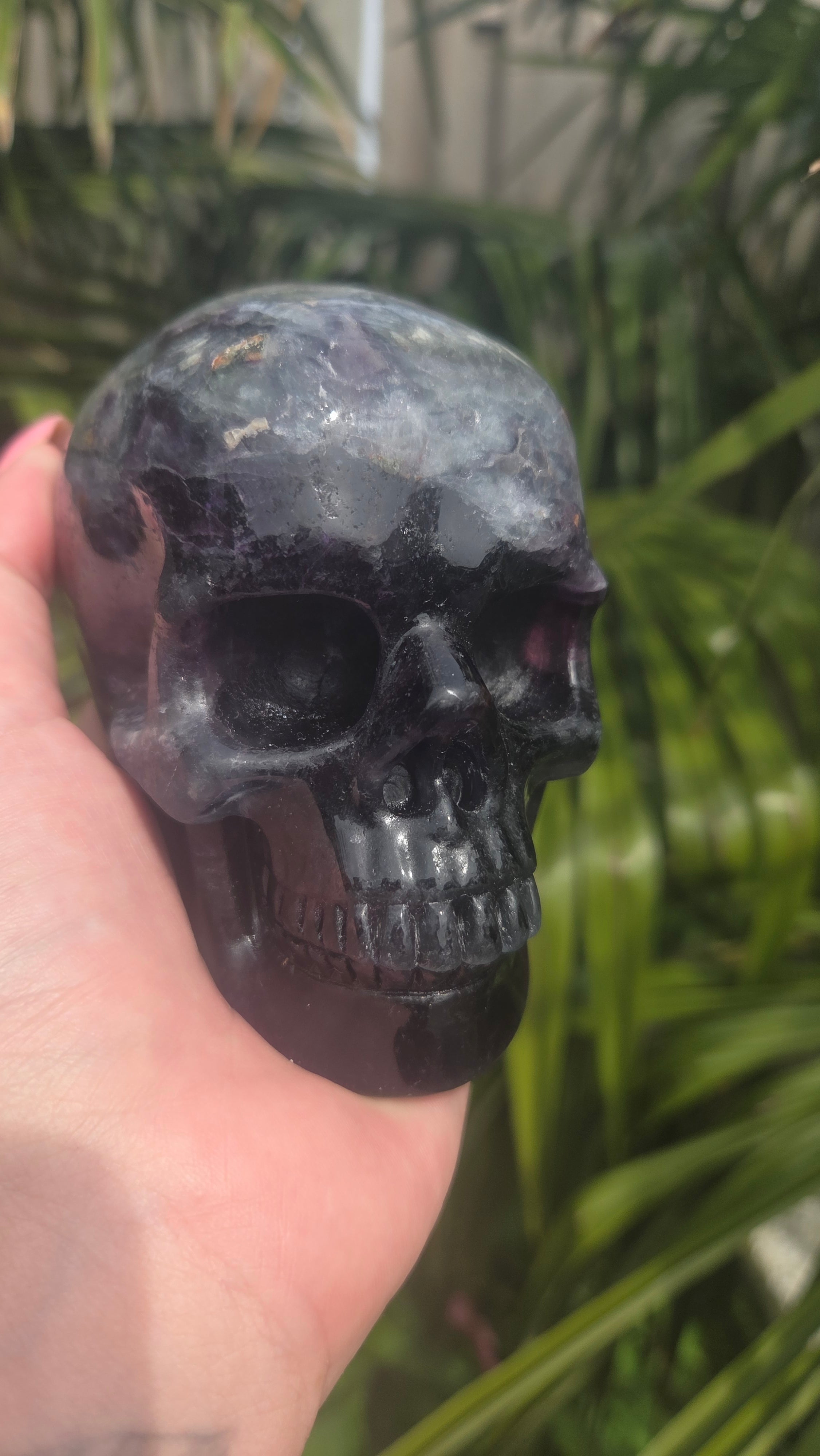 A+ kwaliteit fluoriet skull