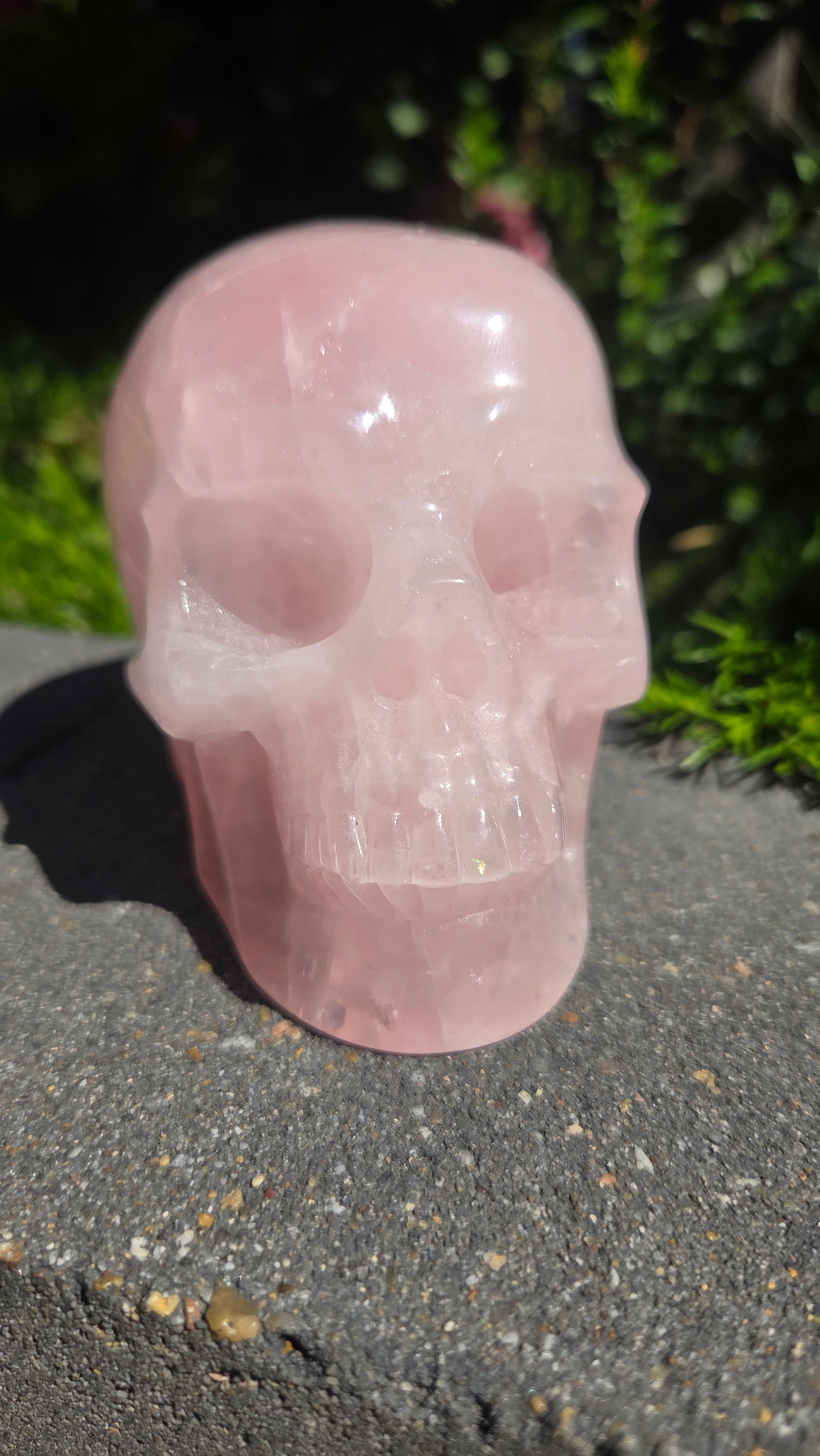 A+ kwaliteit rozenkwarts skull