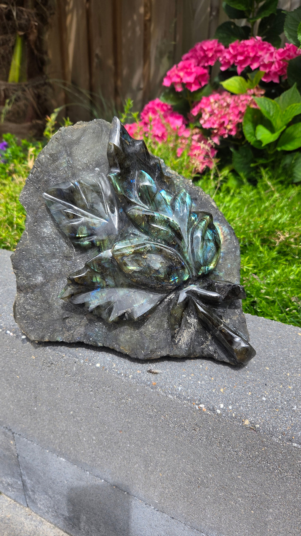 Labradoriet carving 6 kg
