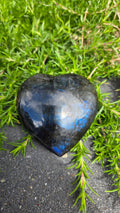 Labradoriet hart
