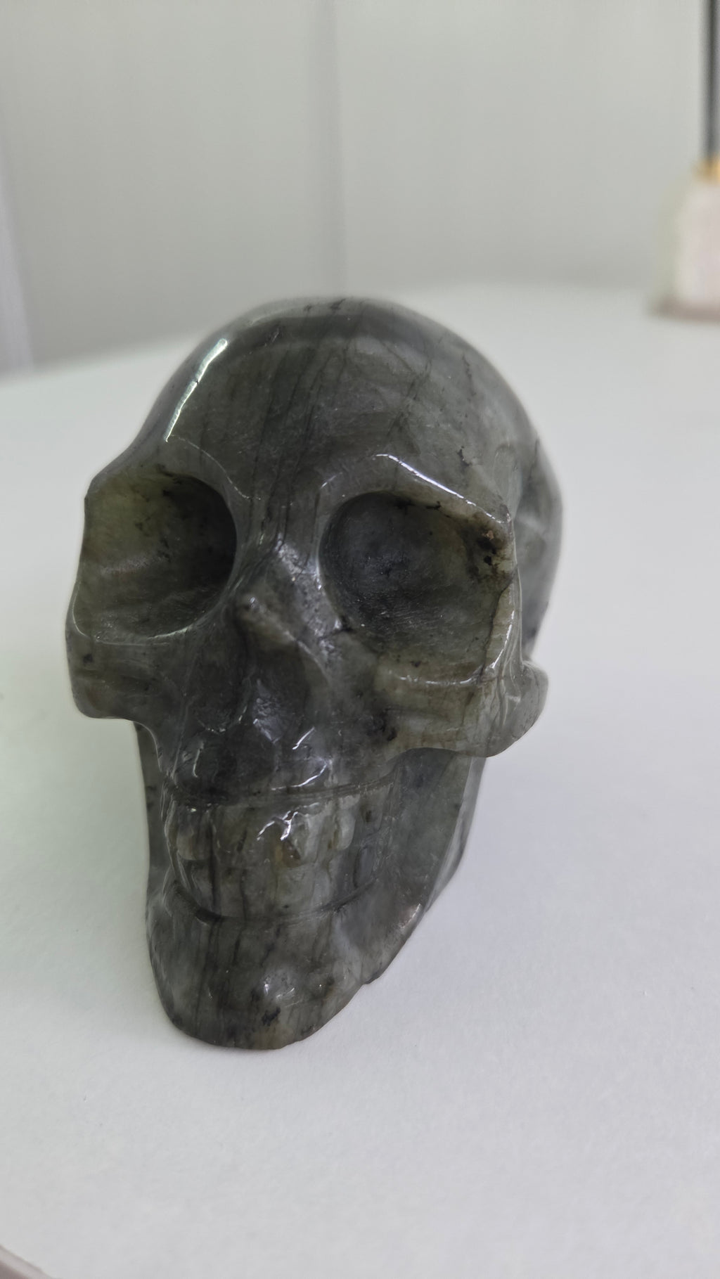 Labradoriet skull