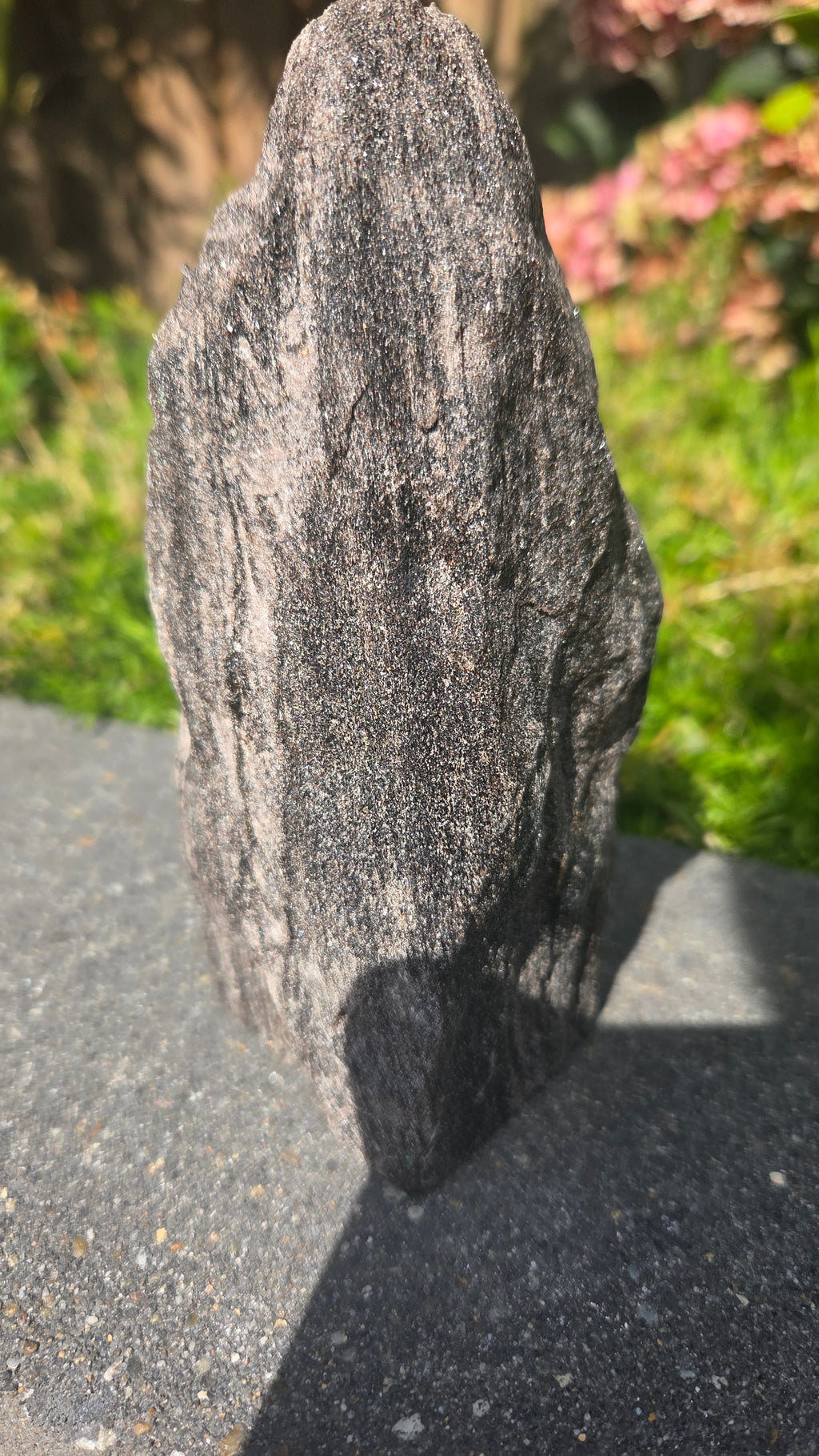Zwarte mica