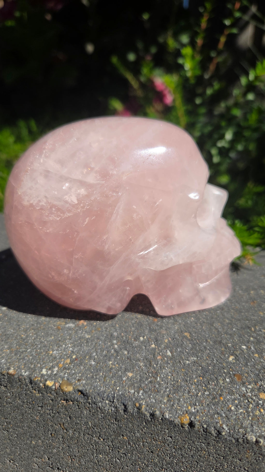 A+ kwaliteit rozenkwarts skull