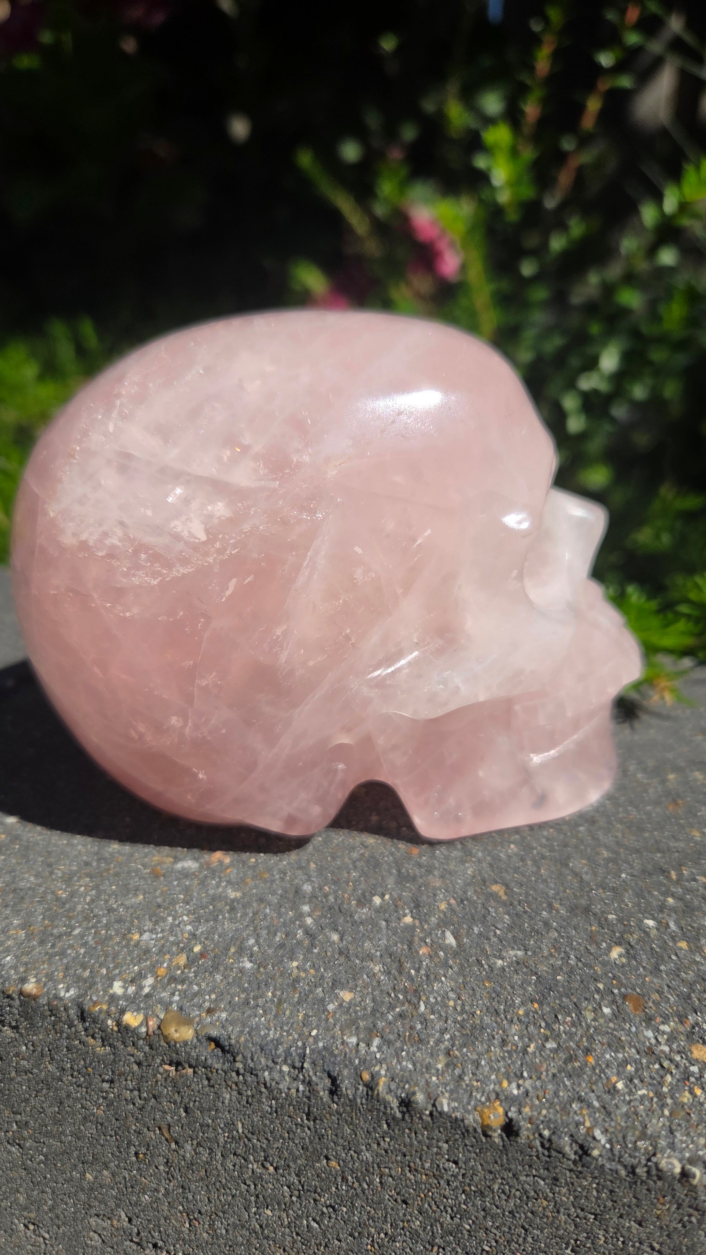 A+ kwaliteit rozenkwarts skull