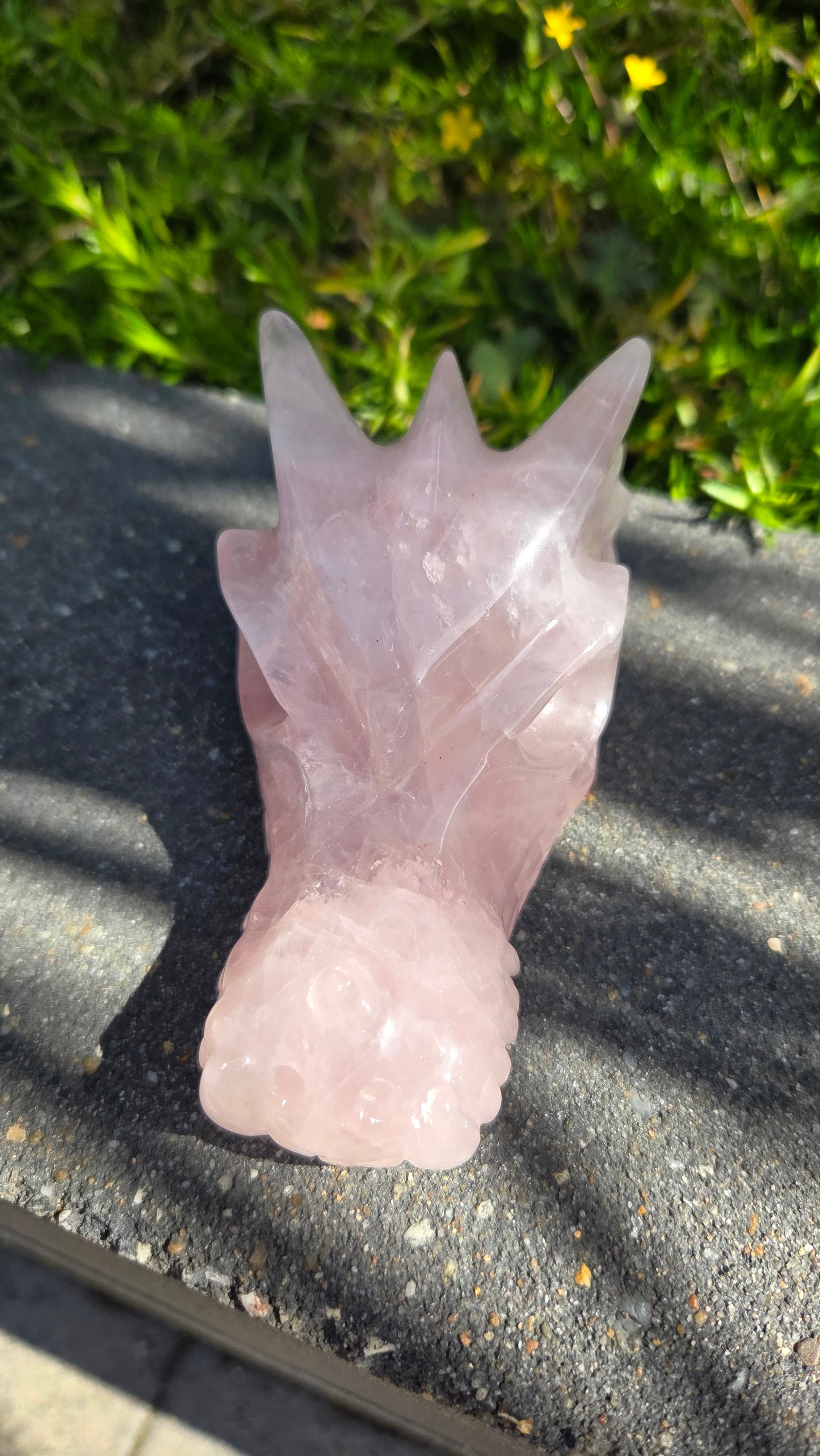 AA rozenkwarts draak