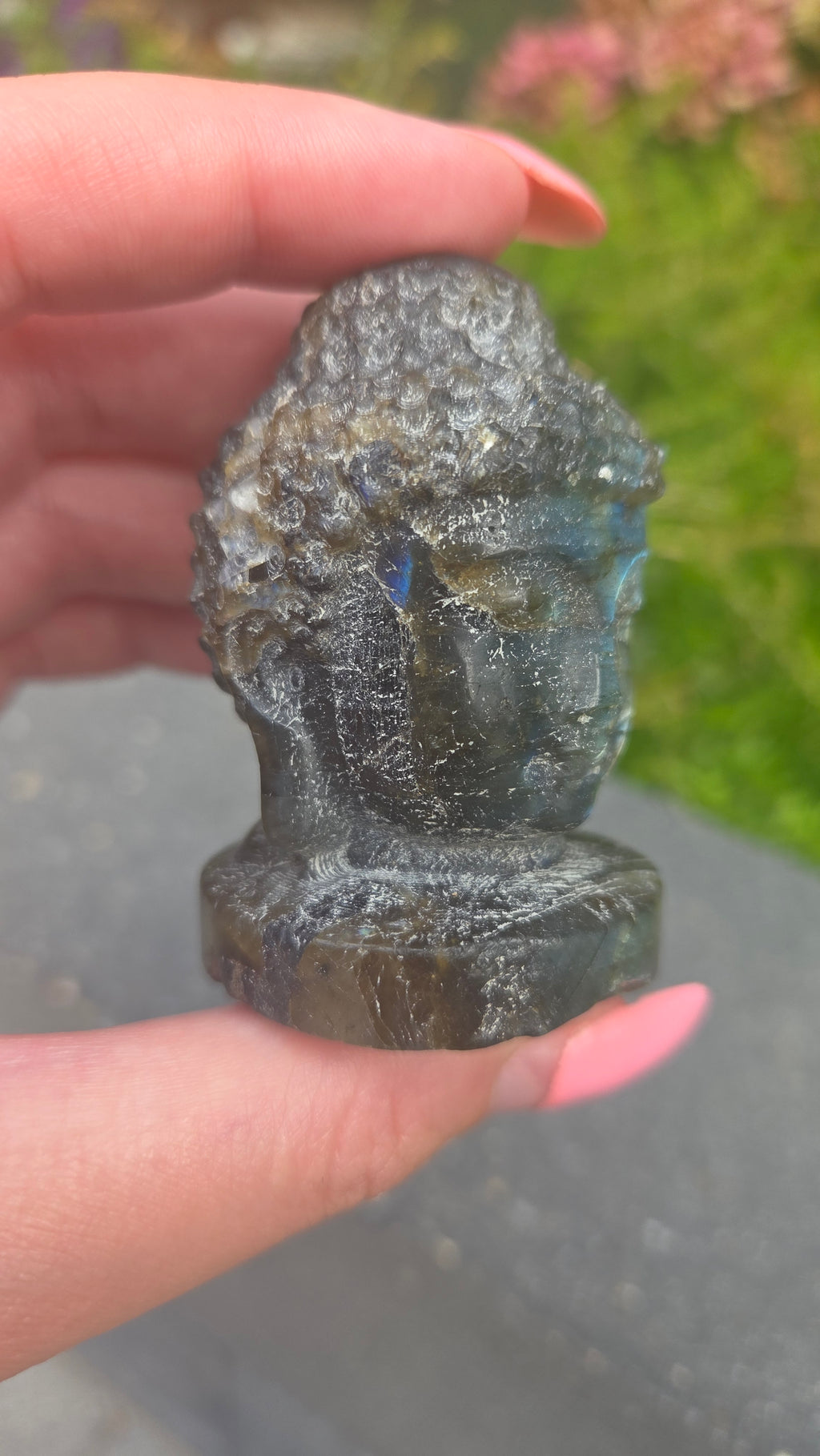 Labradoriet buddha