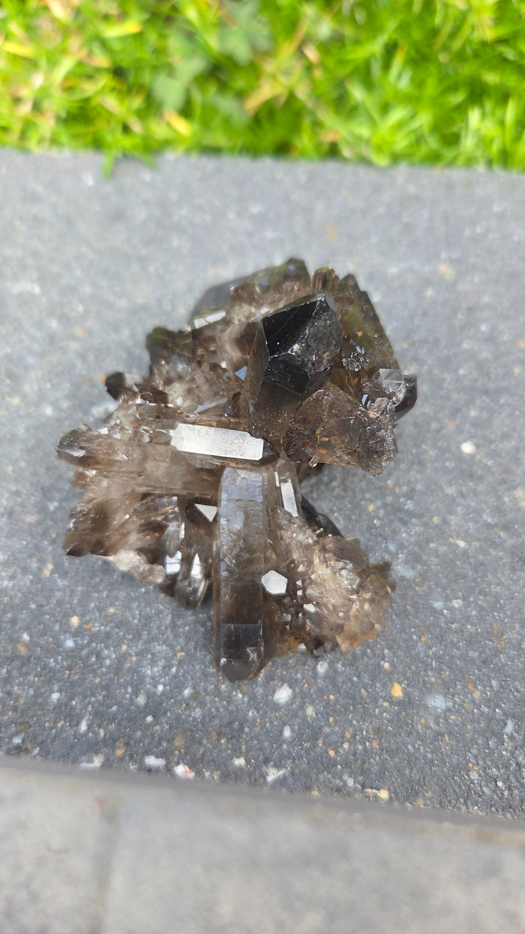Unieke rookkwarts cluster