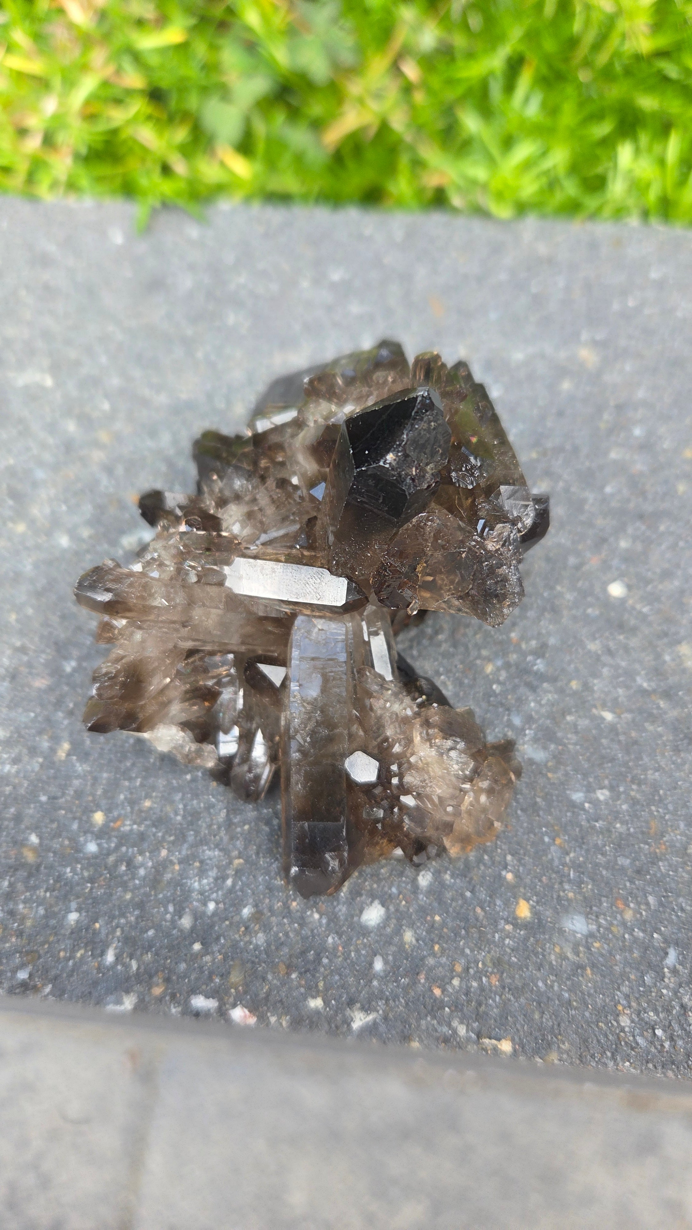 Unieke rookkwarts cluster