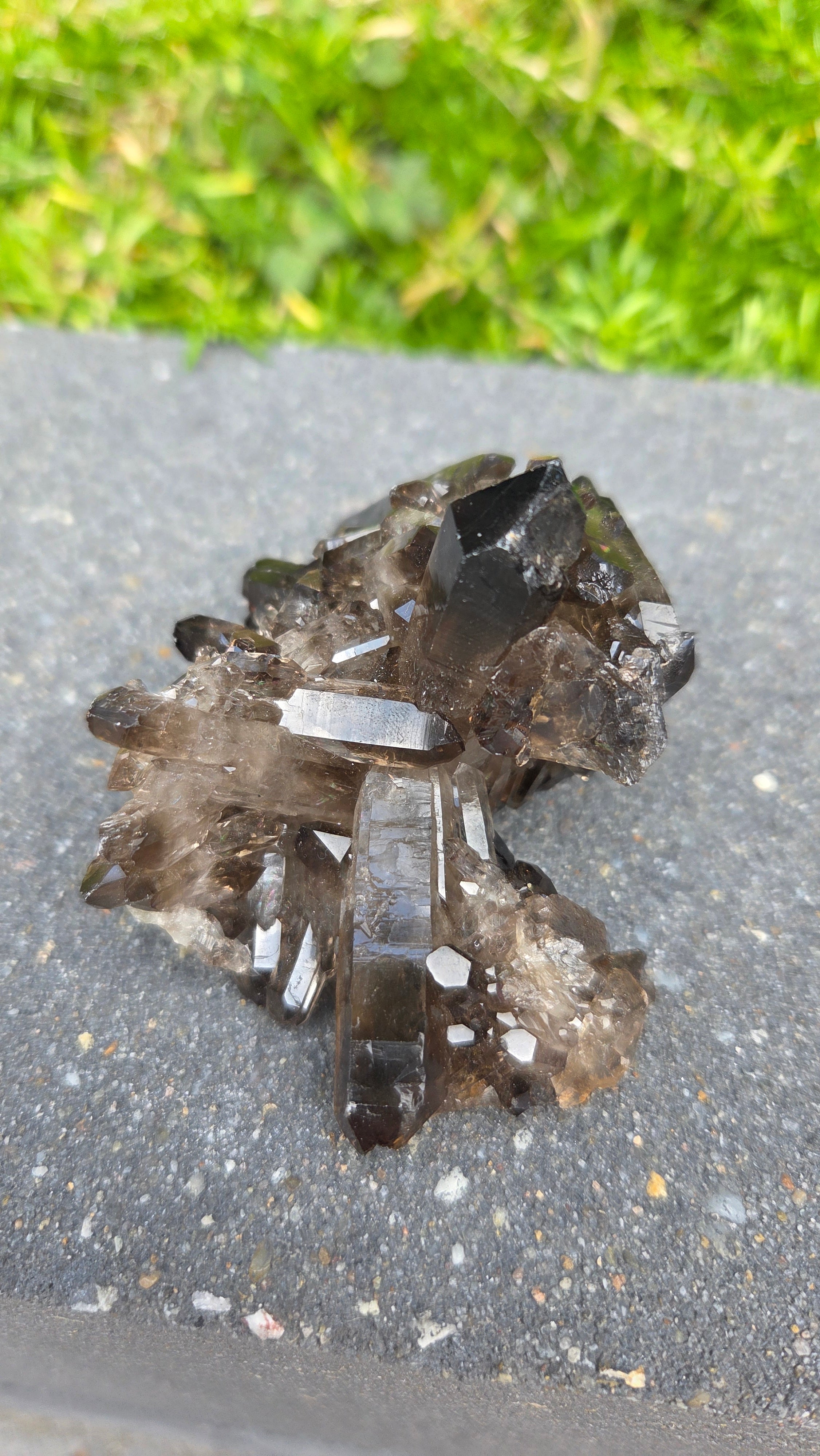 Unieke rookkwarts cluster