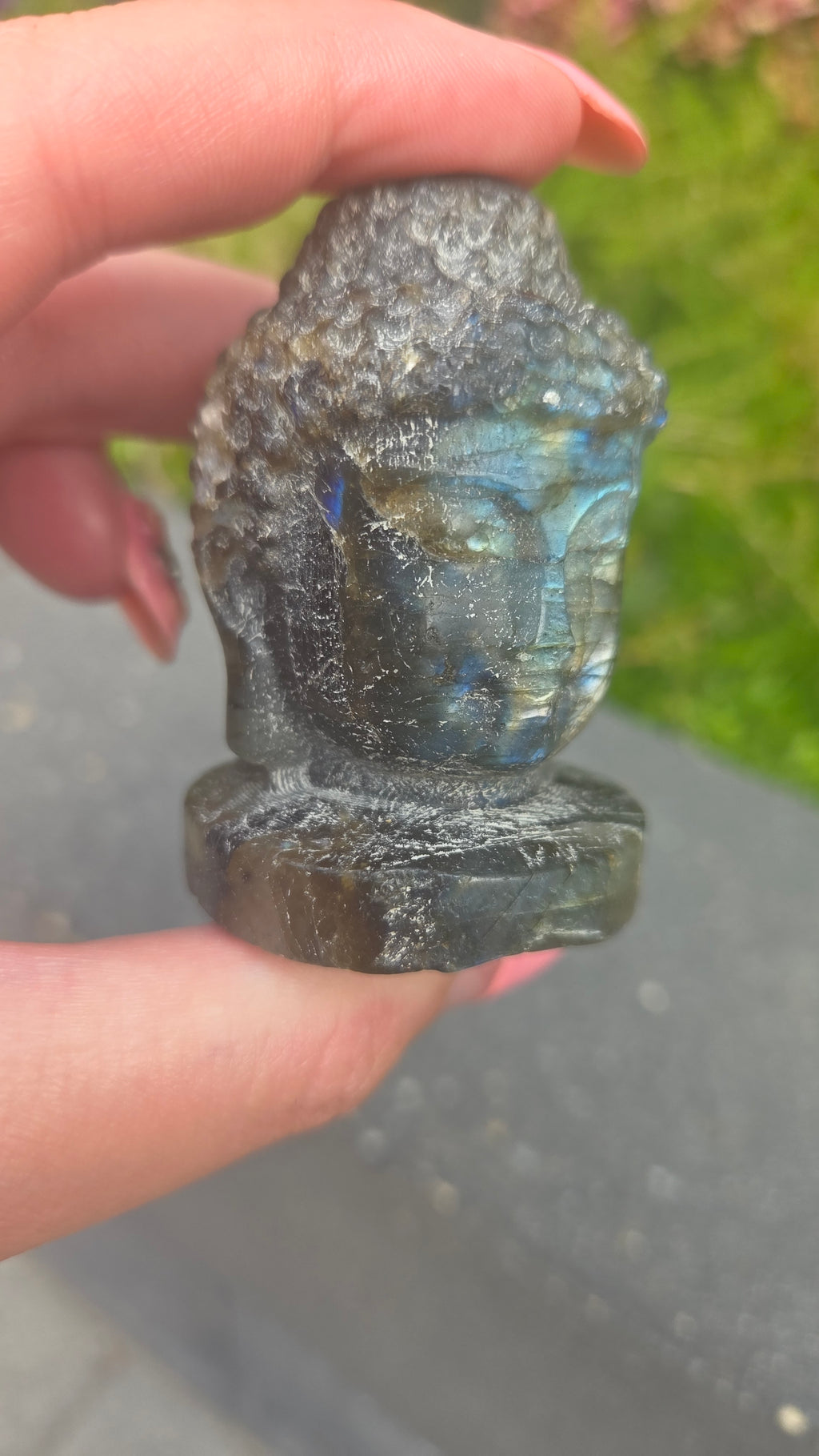 Labradoriet buddha