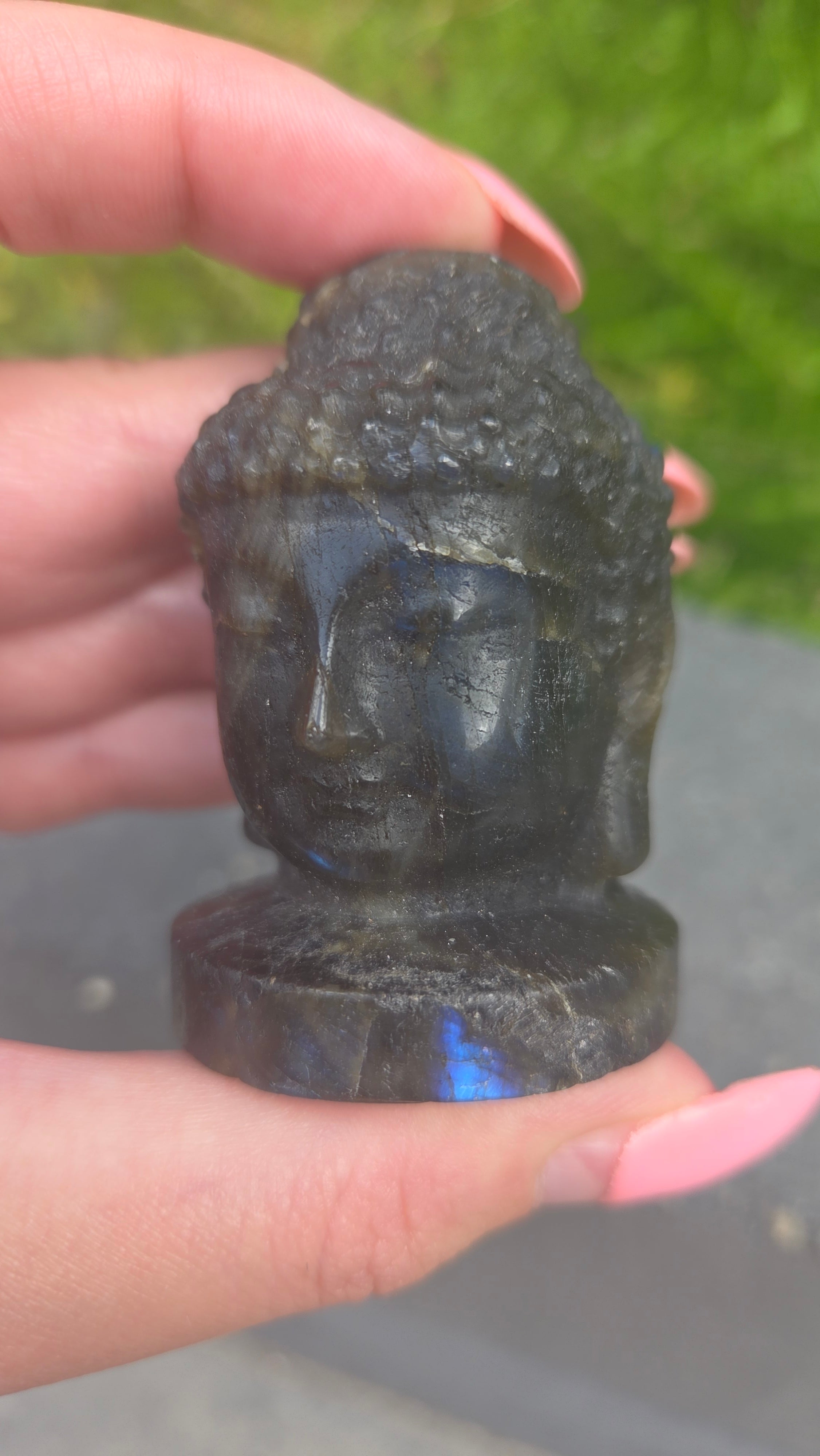Labradoriet buddha