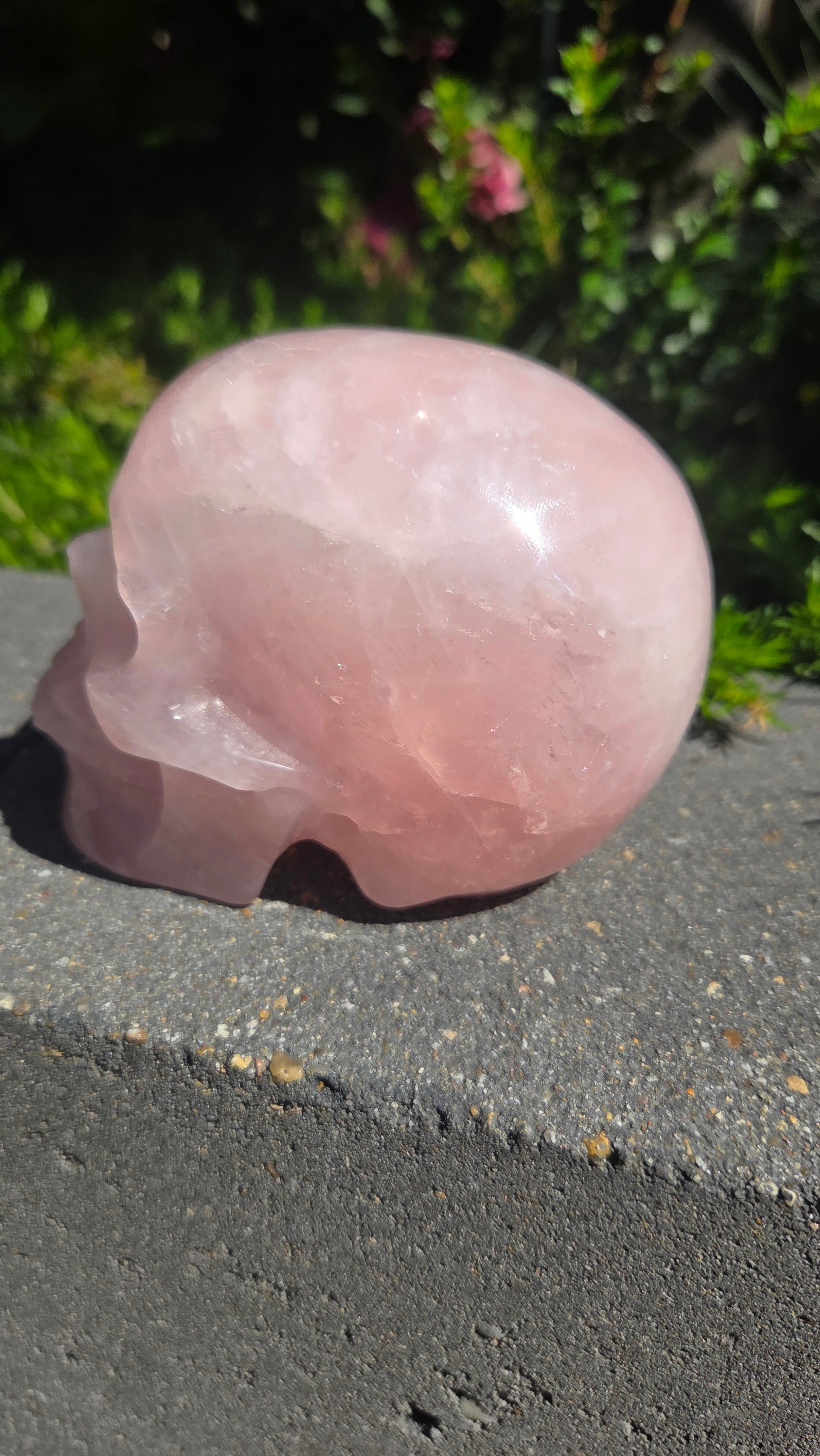 A+ kwaliteit rozenkwarts skull