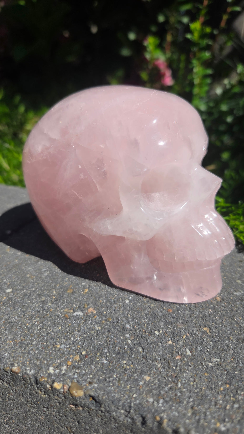 A+ kwaliteit rozenkwarts skull