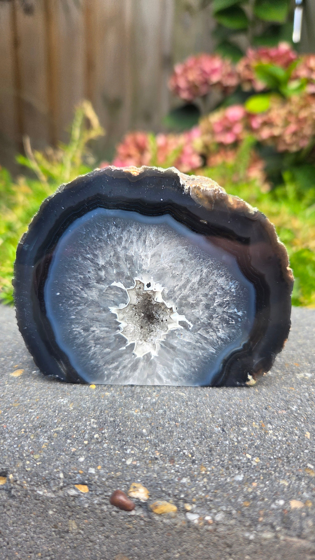 Agaat geode cutbase