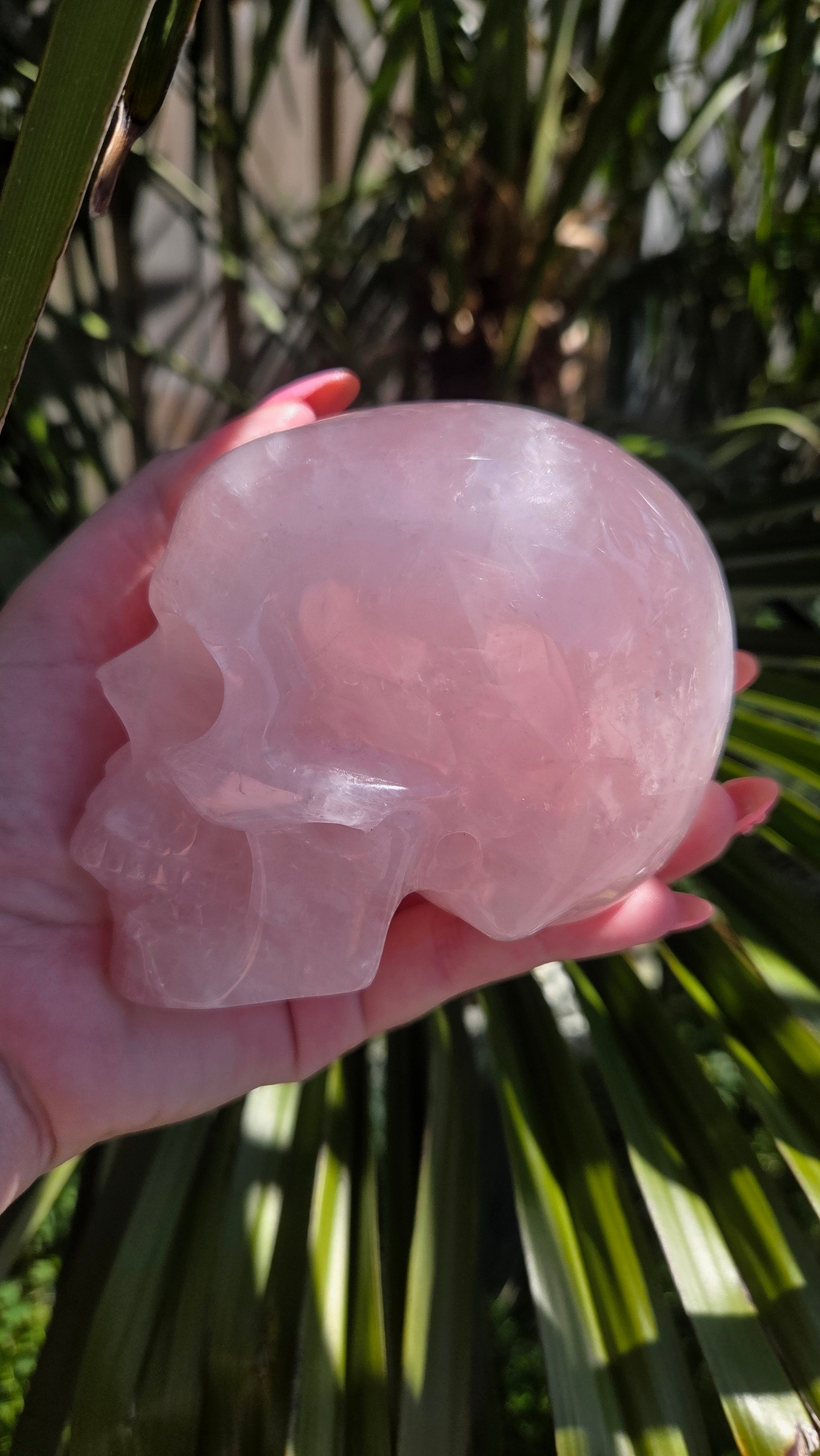 A+ kwaliteit rozenkwarts skull