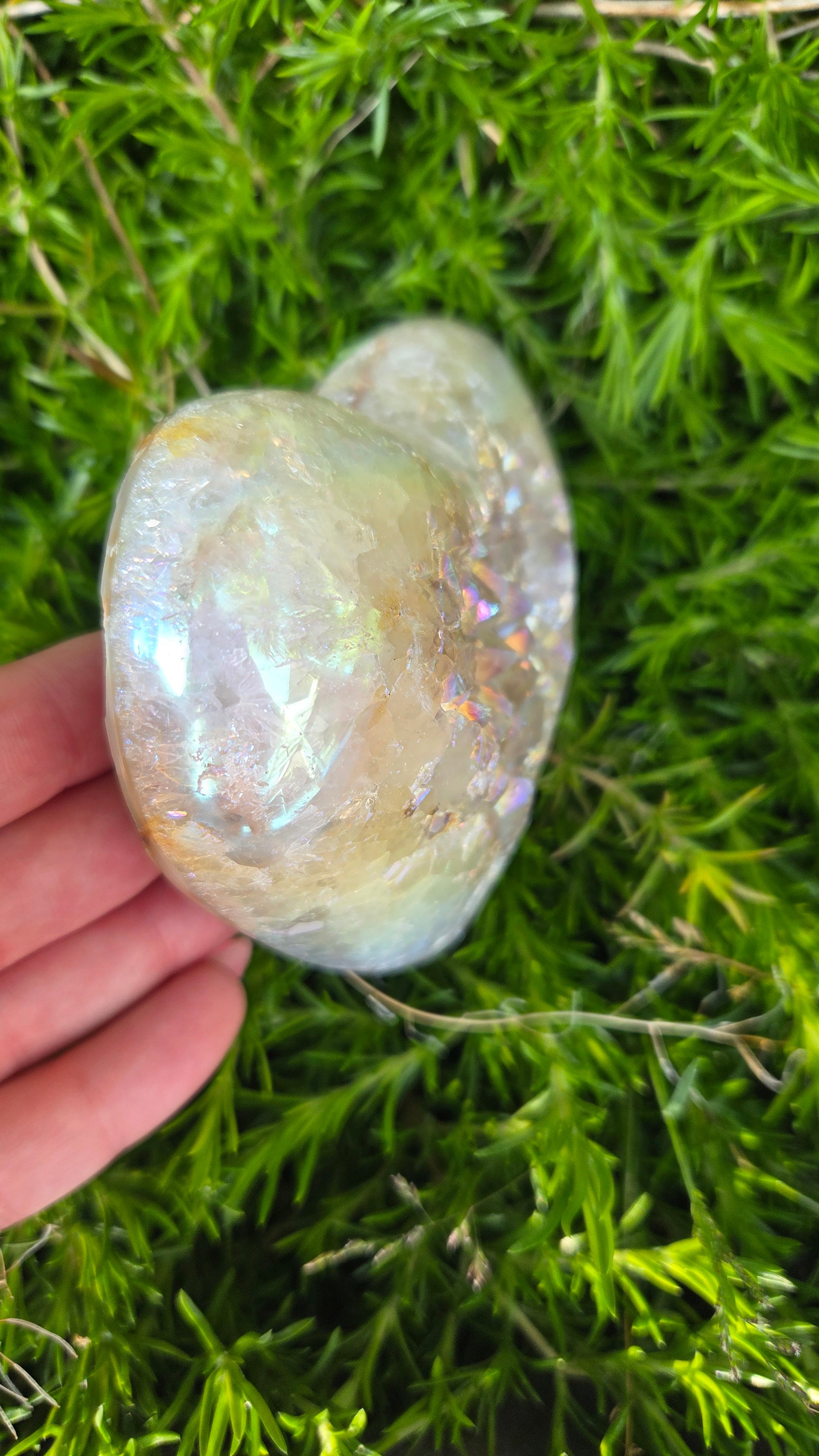 Angel aura hart