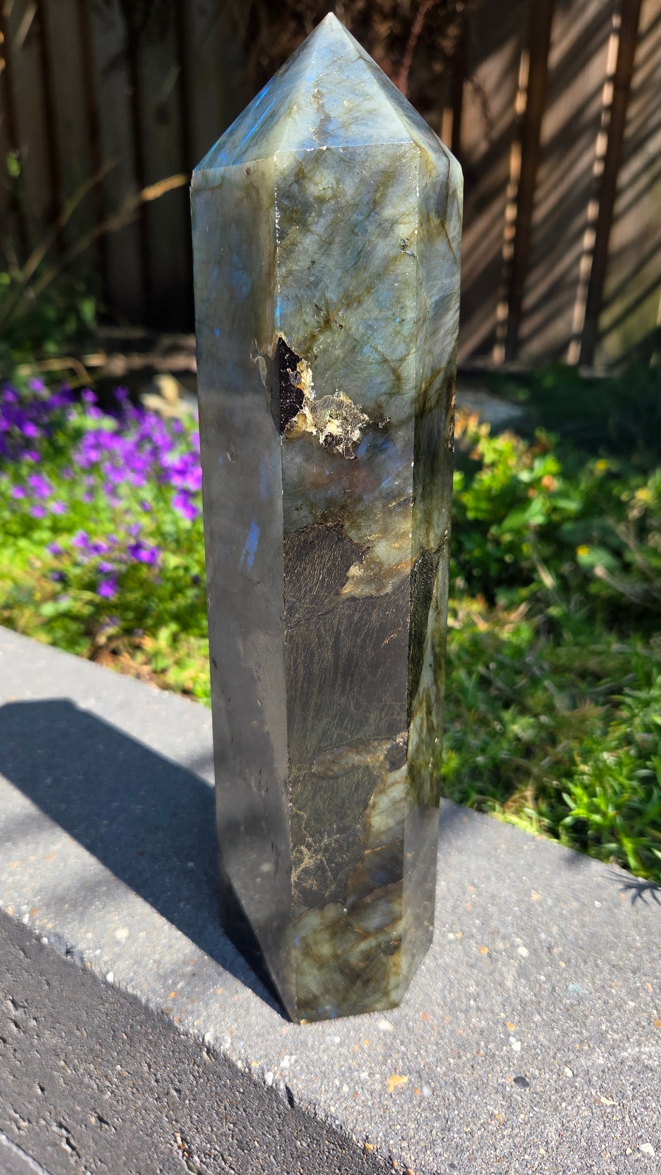 XL labradoriet toren