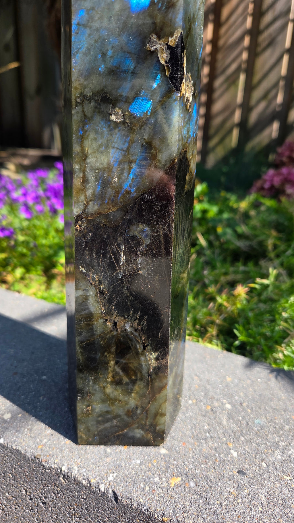 XL labradoriet toren