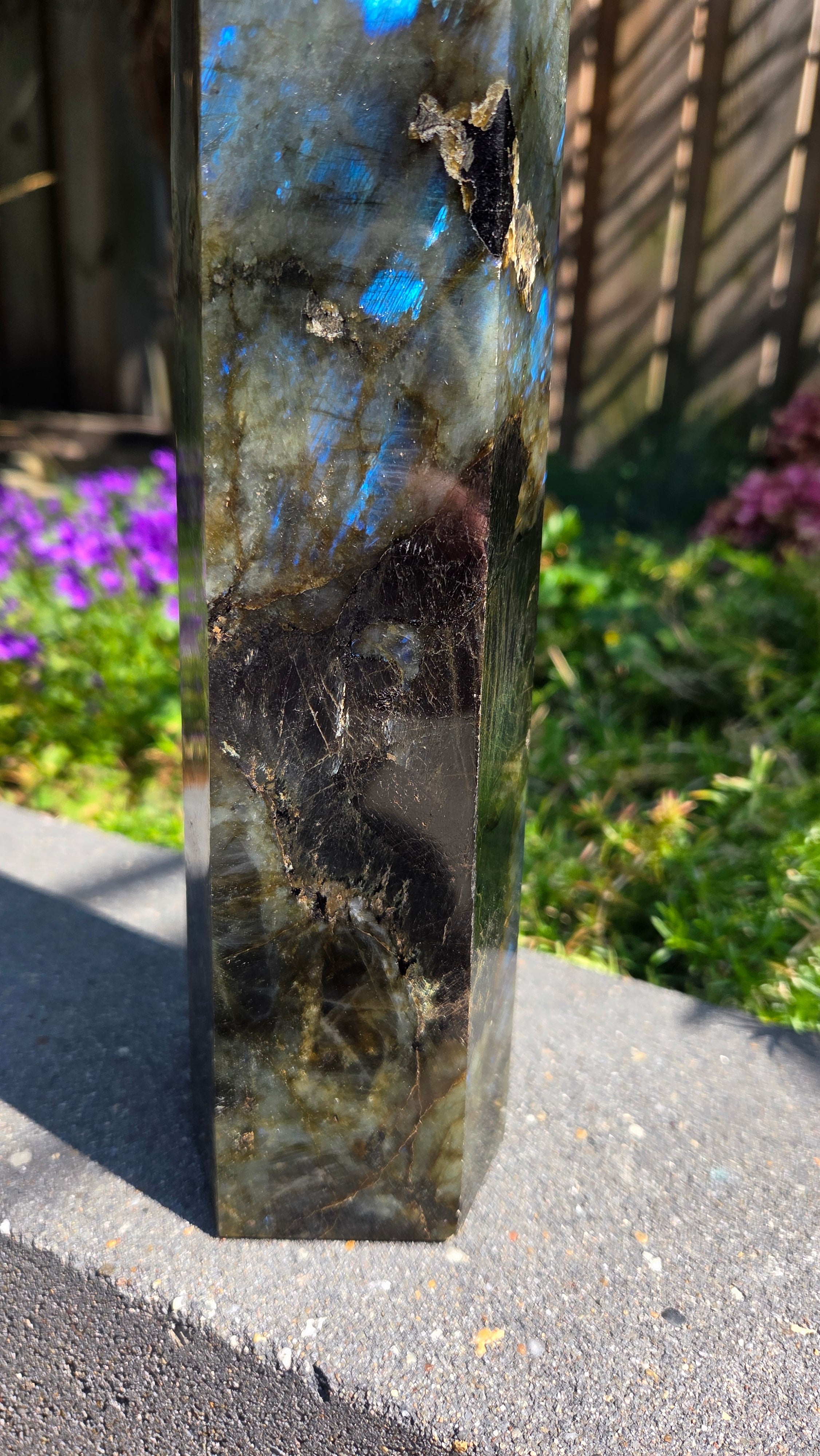XL labradoriet toren