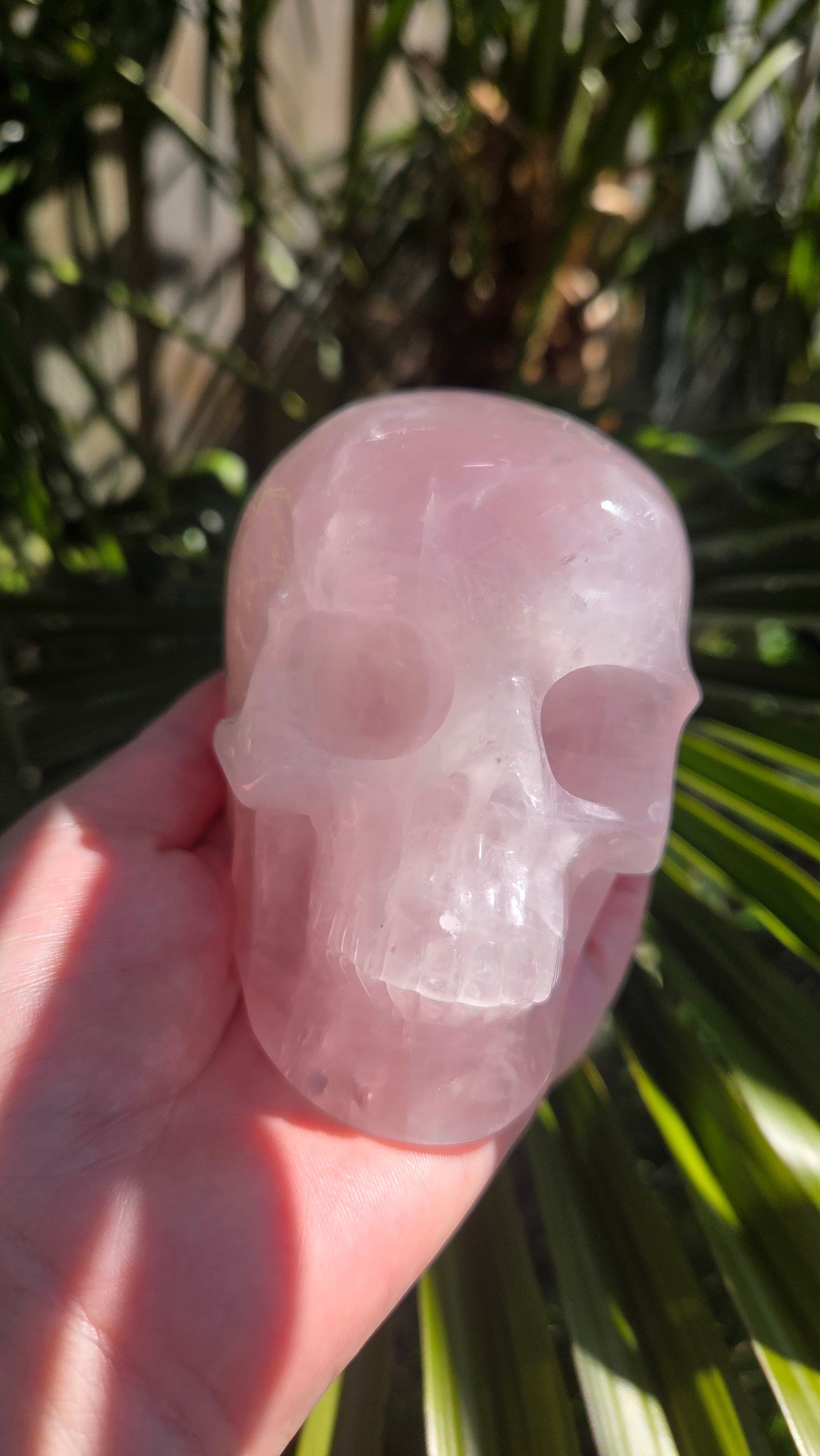 A+ kwaliteit rozenkwarts skull