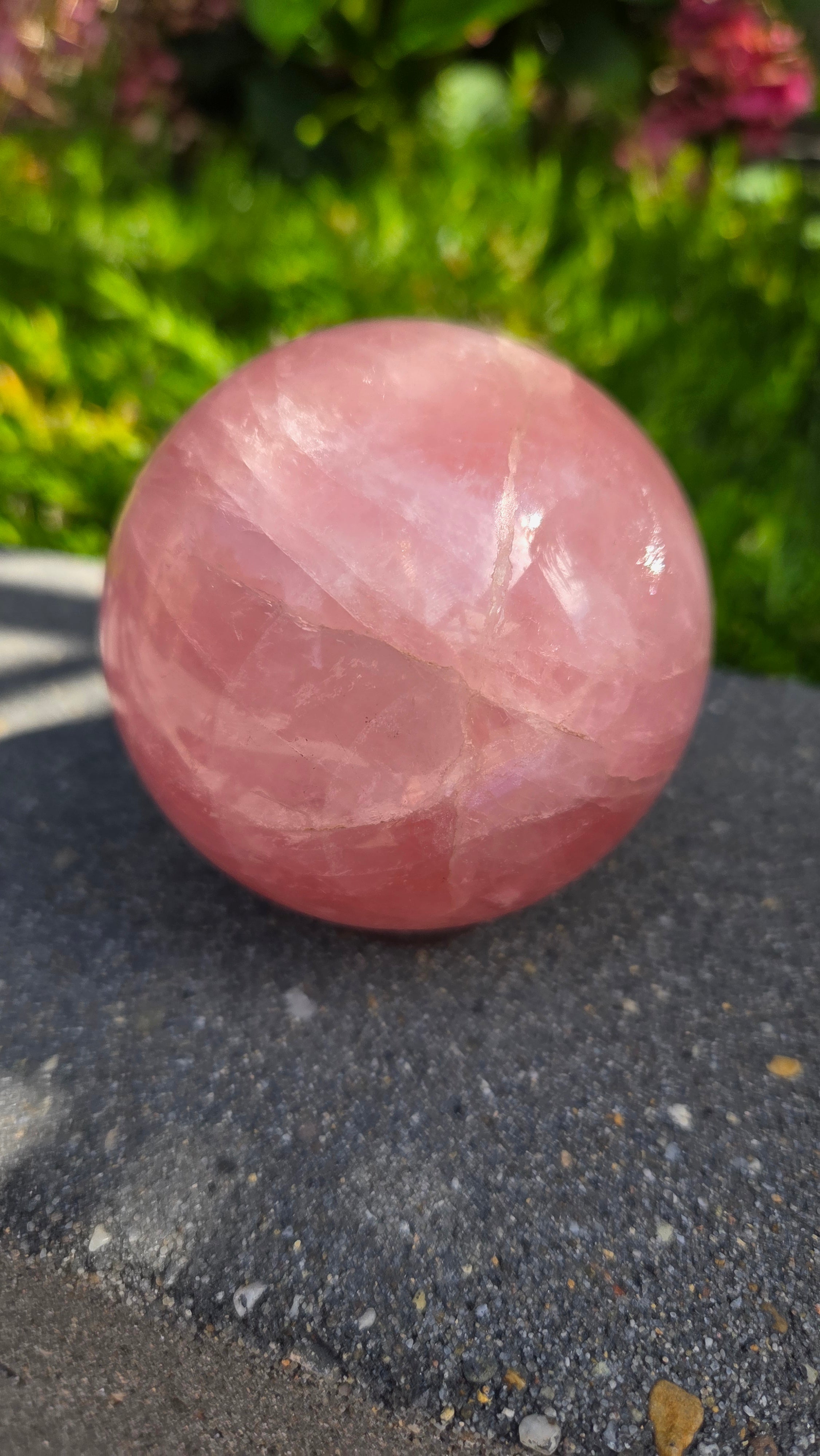 AA rozenkwarts bol