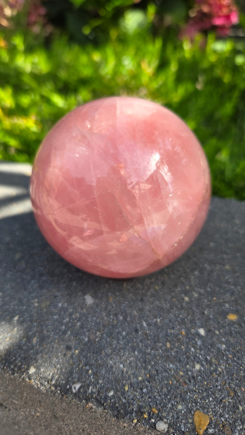AA rozenkwarts bol