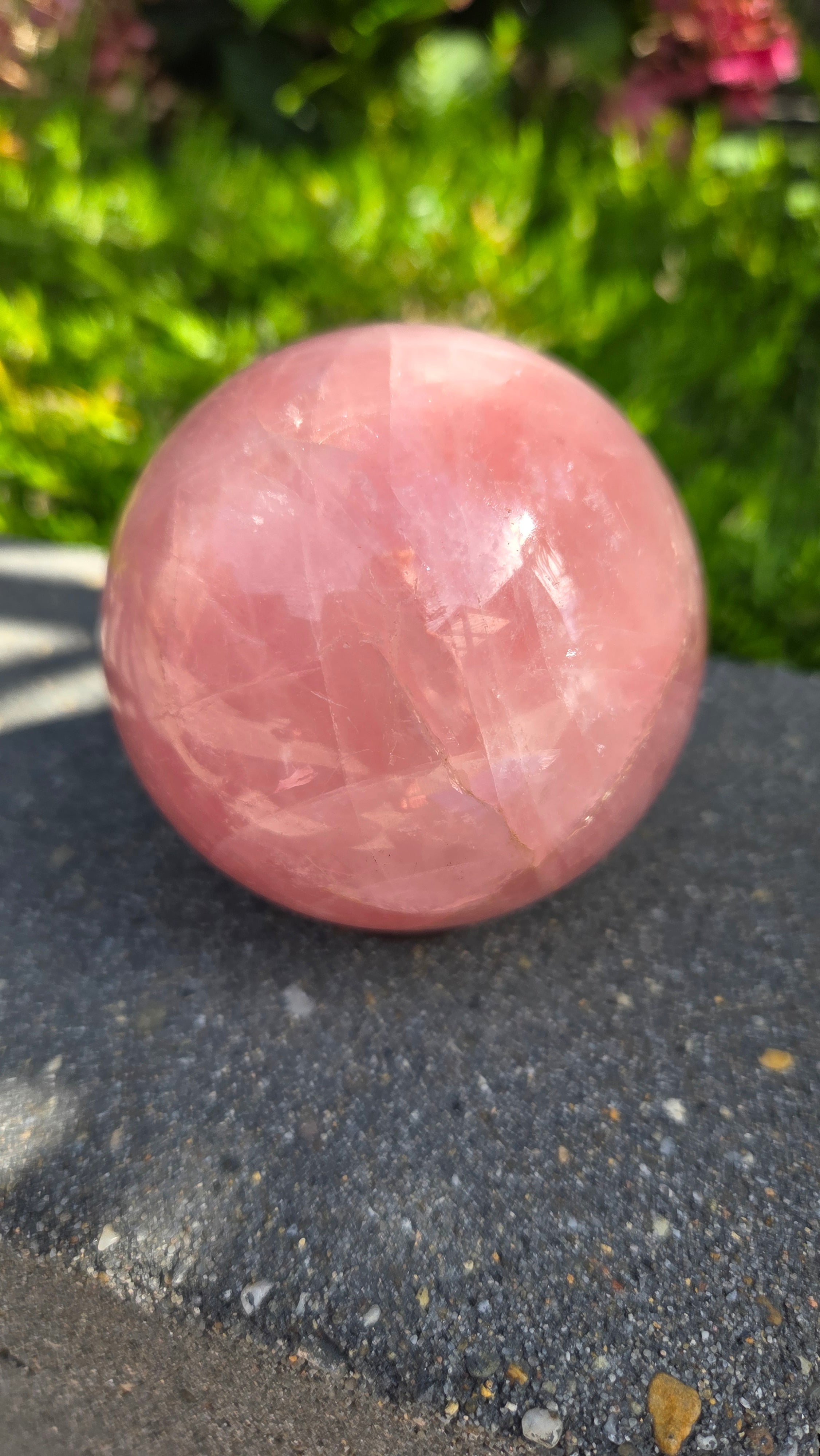 AA rozenkwarts bol