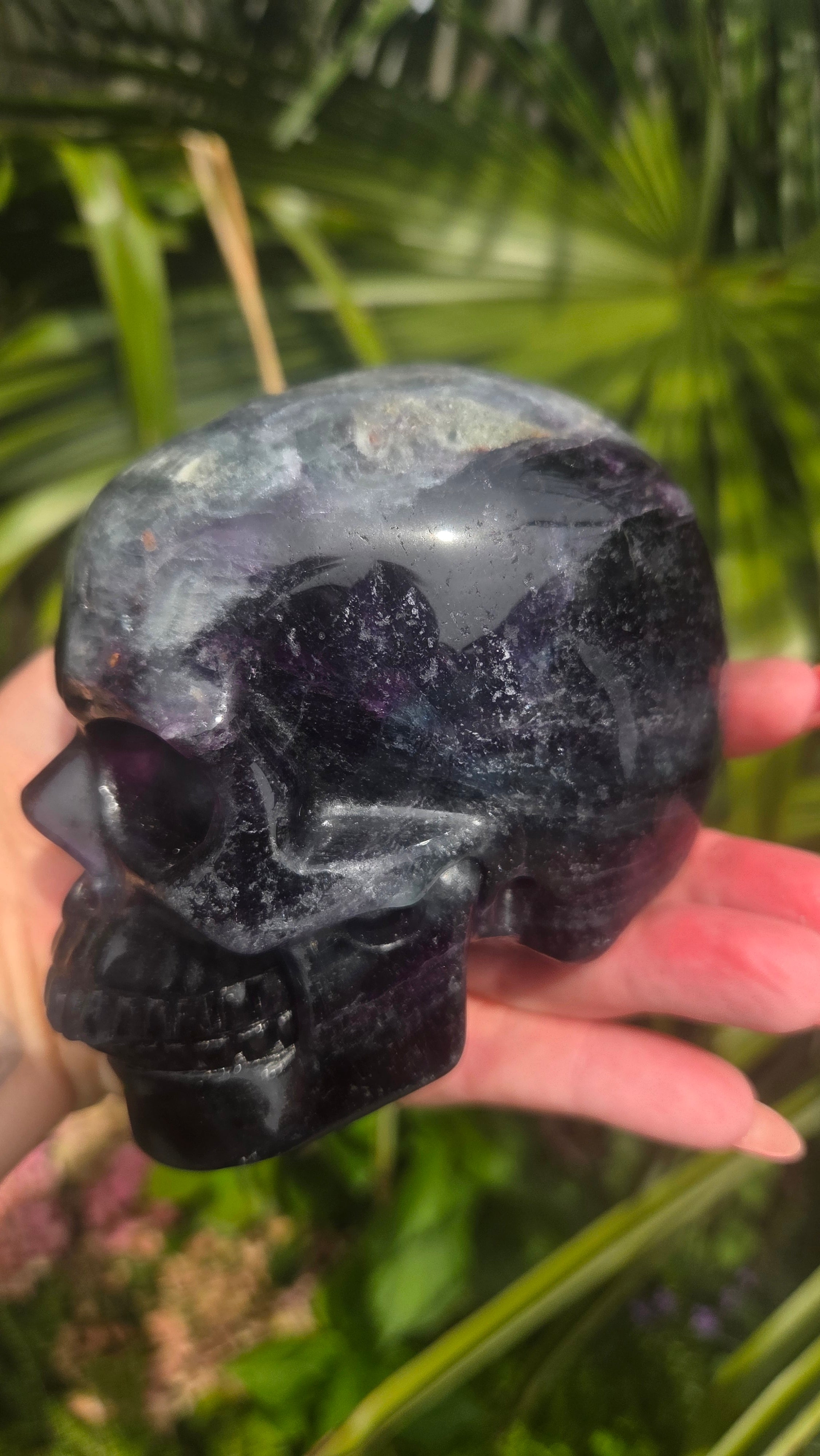 A+ kwaliteit fluoriet skull