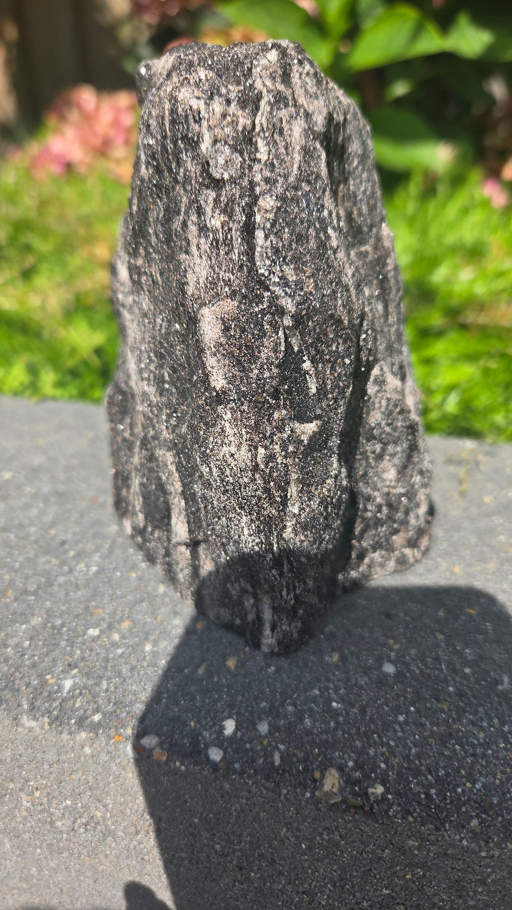 Zwarte mica