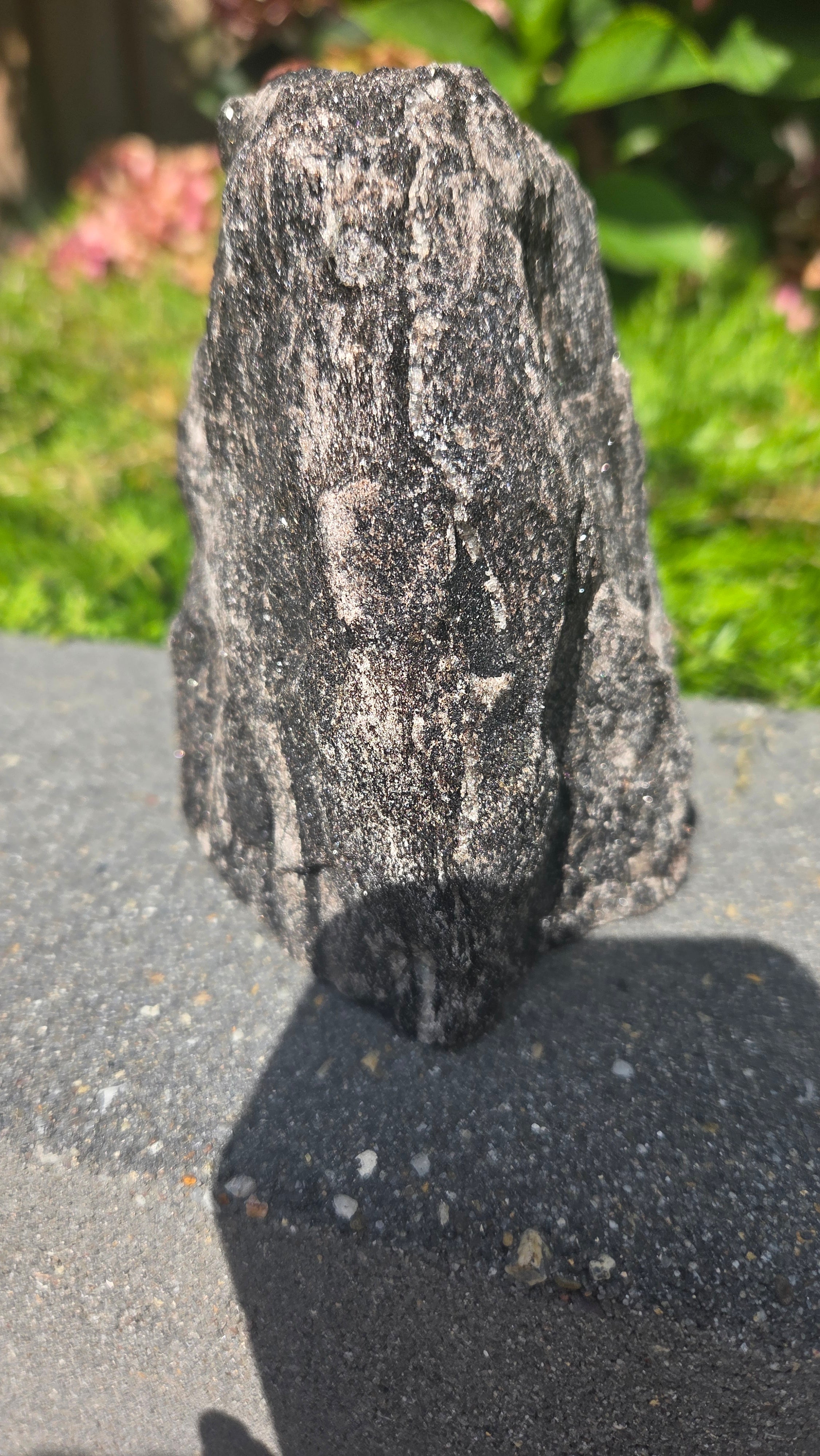 Zwarte mica