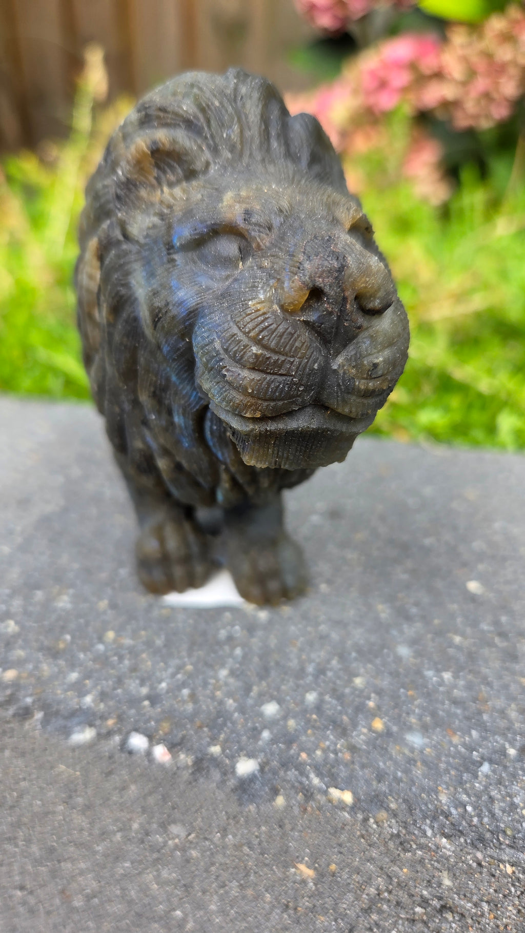 Zeldzame labradoriet carving leeuw
