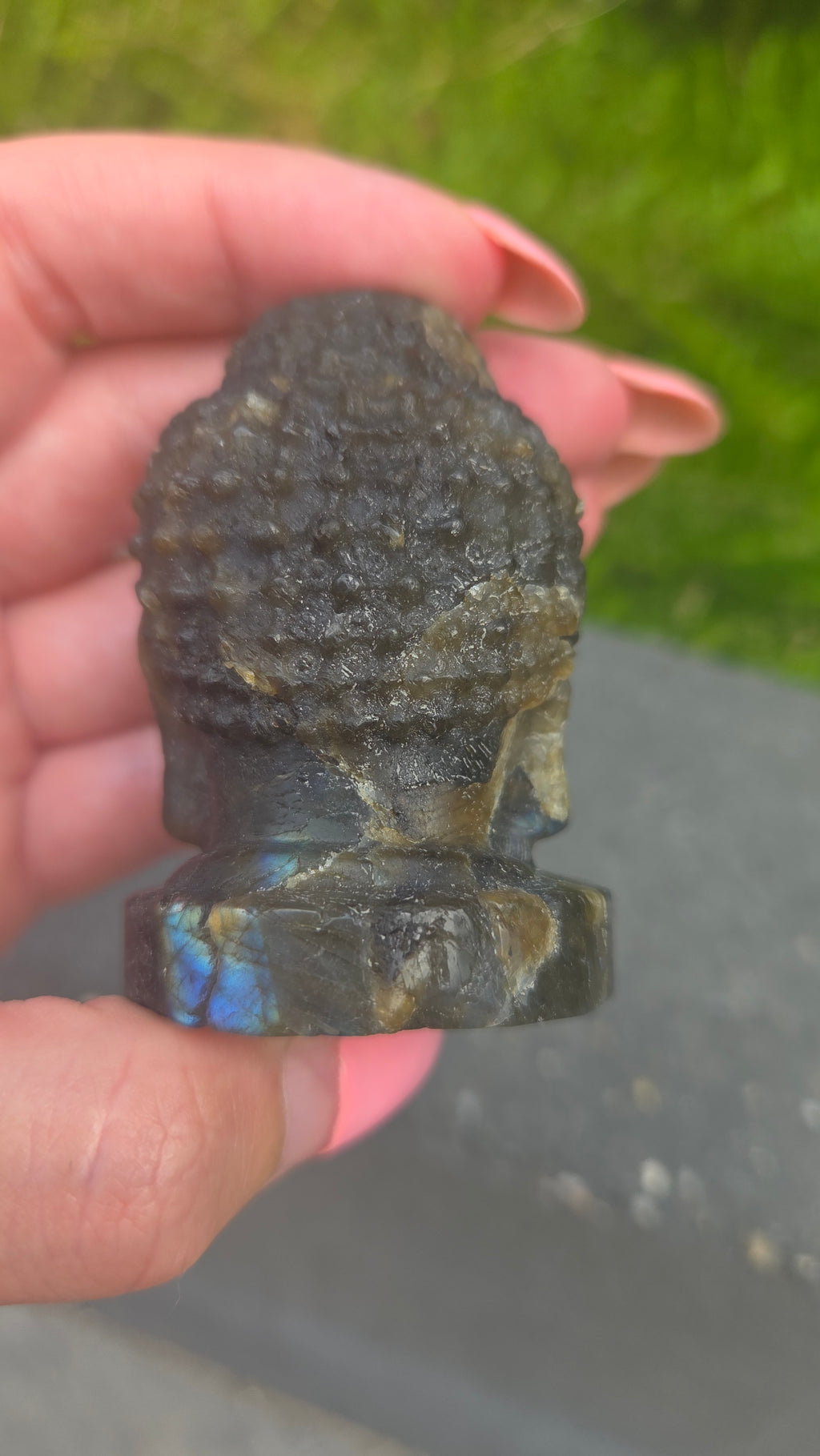 Labradoriet buddha