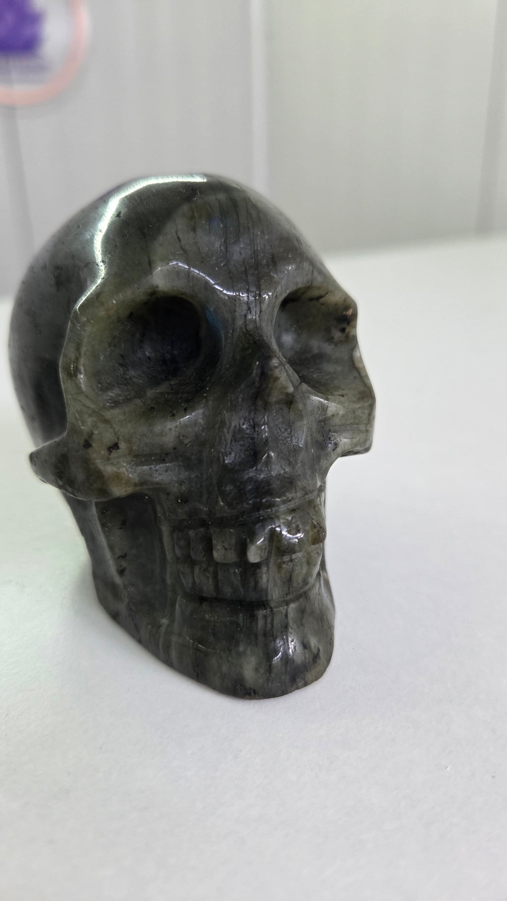 Labradoriet skull