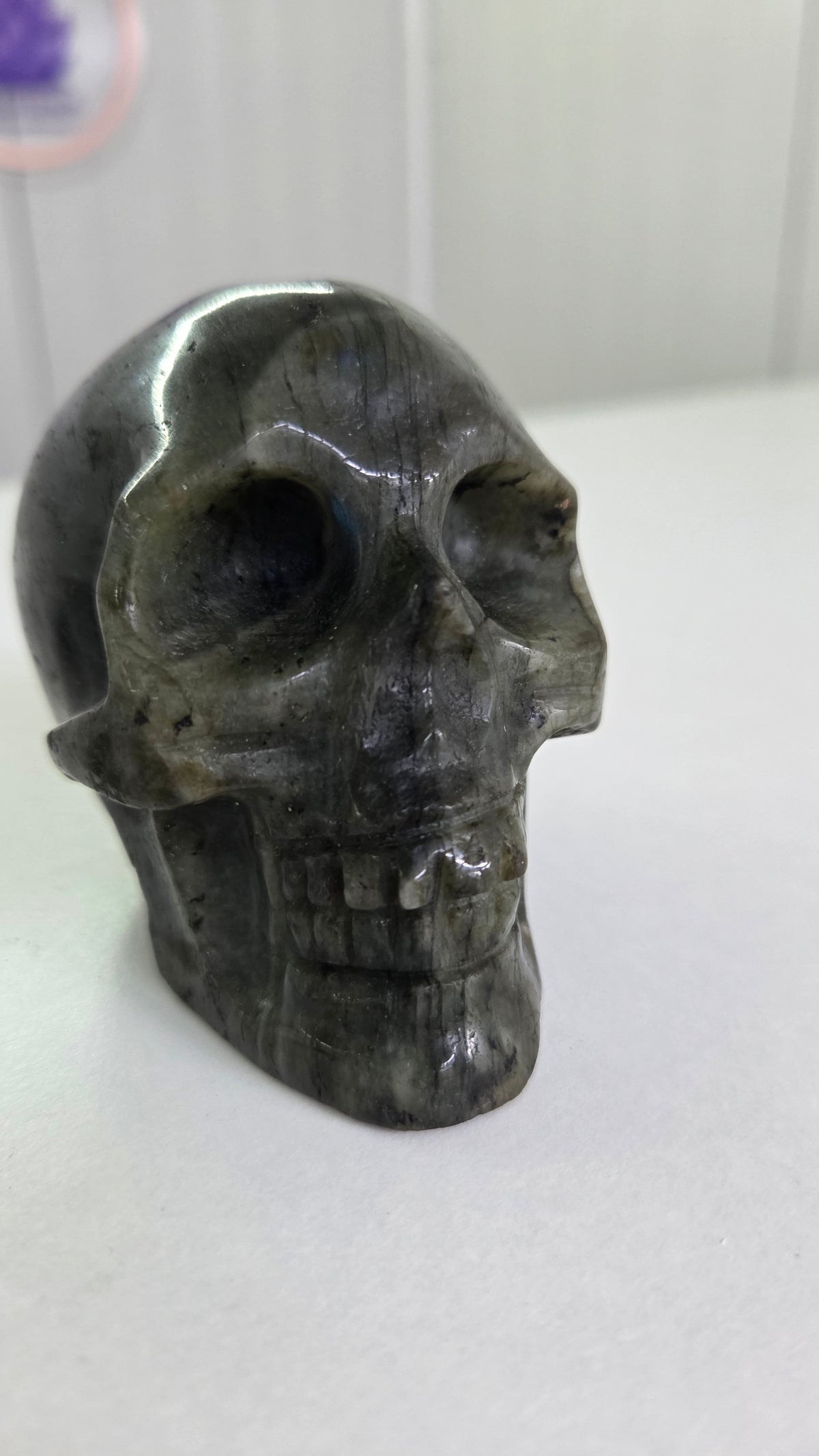 Labradoriet skull