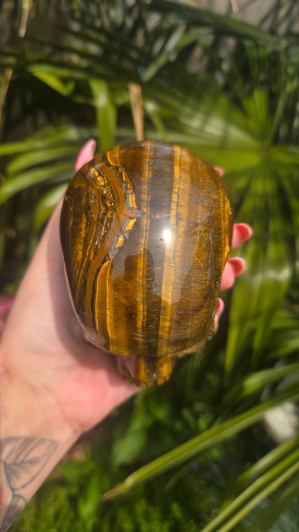 A++ kwaliteit tijgeroog skull