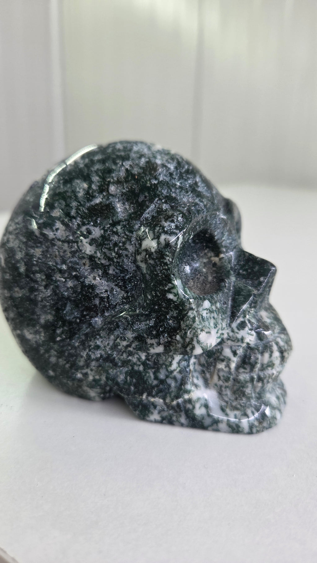 Mosagaat skull
