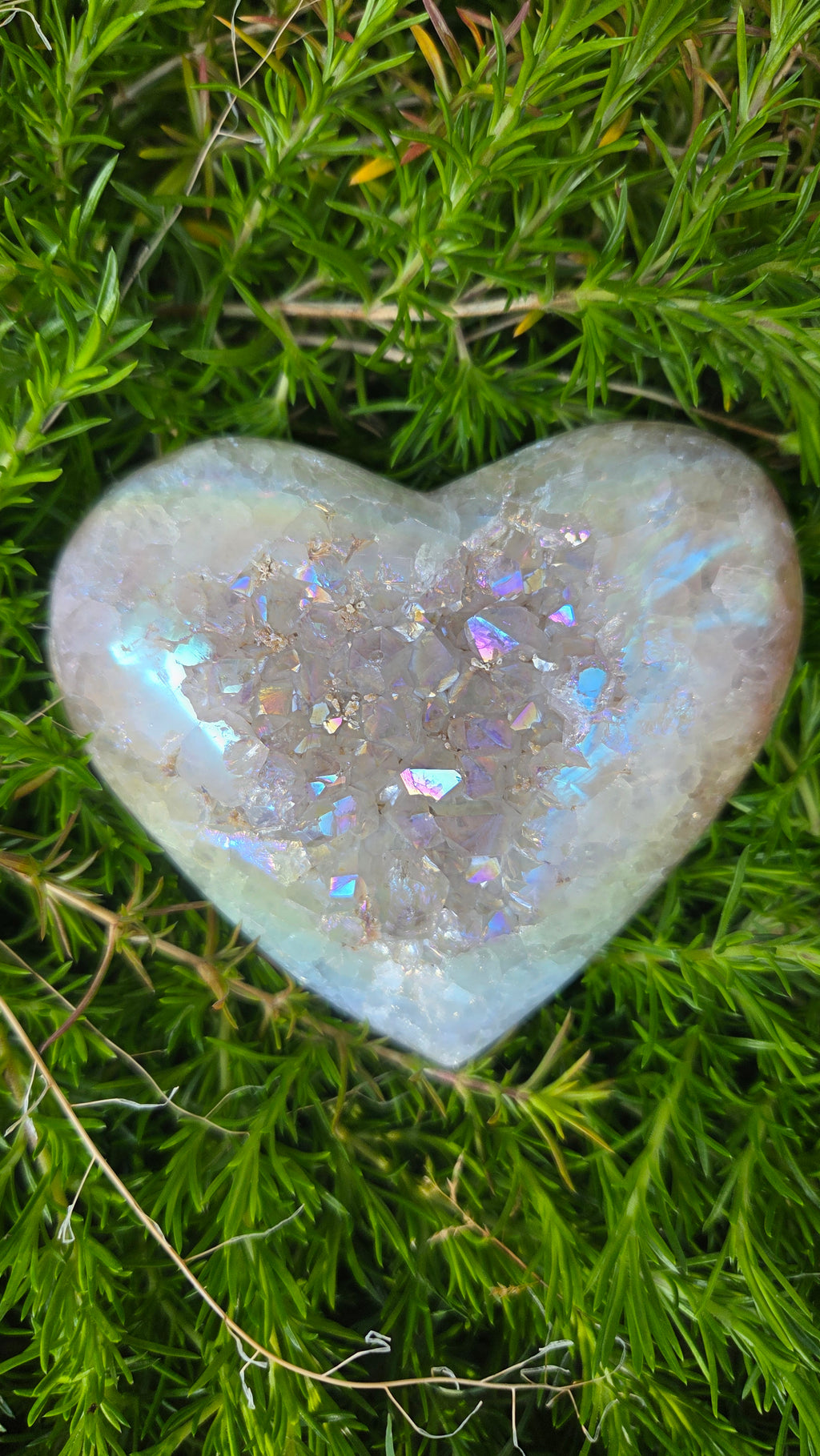 Angel aura hart